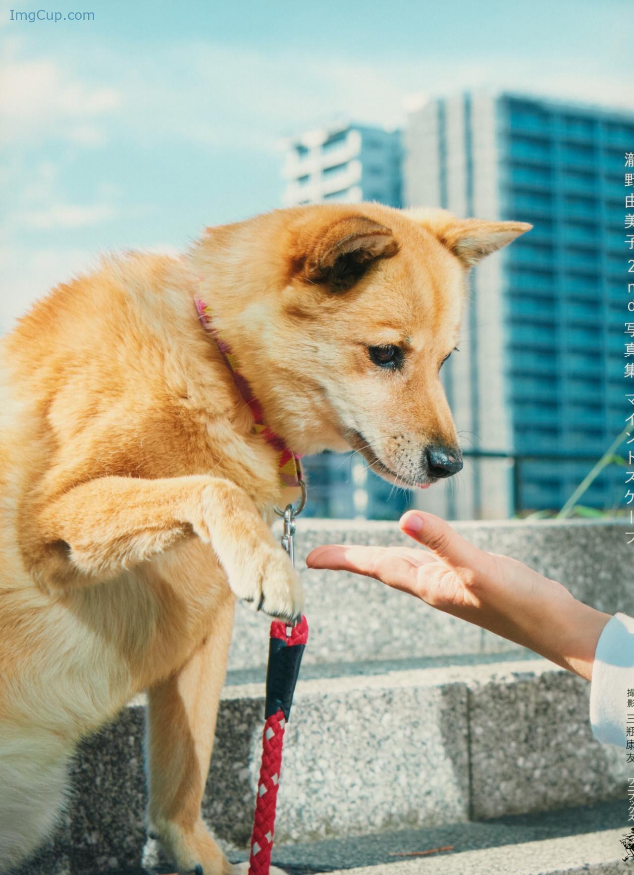 Yumiko-Takino-瀧野由美子-2nd-写真集-『マインドスケープ』-Set02.jpg Yumiko Takino 瀧野由美子 2nd 写真集 『マインドスケープ』 Set02