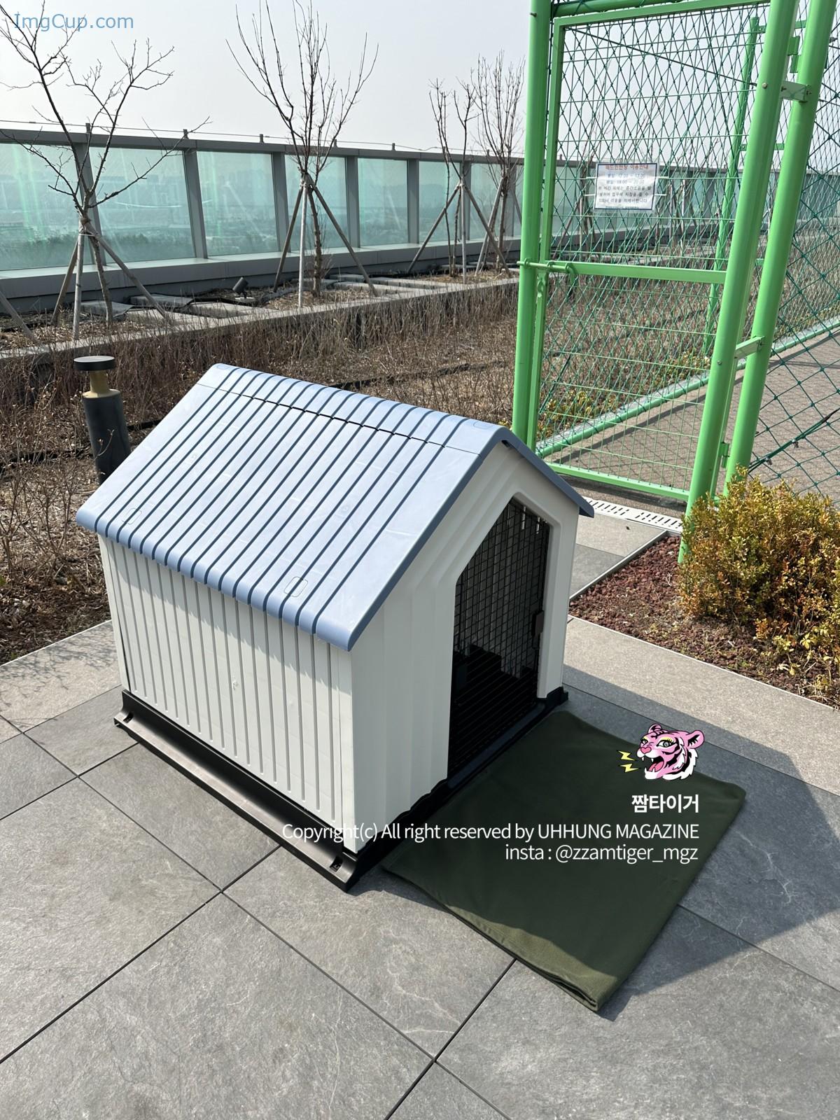 1720254150_749_Yoonvely-윤블리-UHHUNG-Magazine-Vol04-Milltary-Set01.jpg 1720254150 749 Yoonvely 윤블리 UHHUNG Magazine Vol04 Milltary Set01