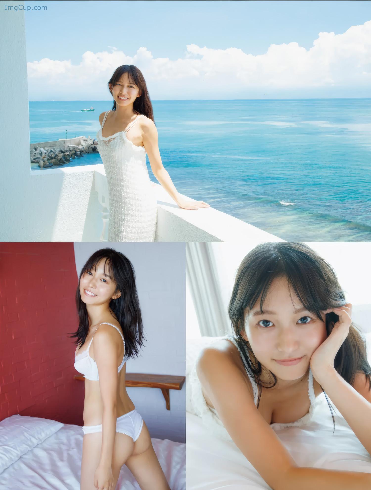 FR1206NENE_3.jpg FR1206NENE 3