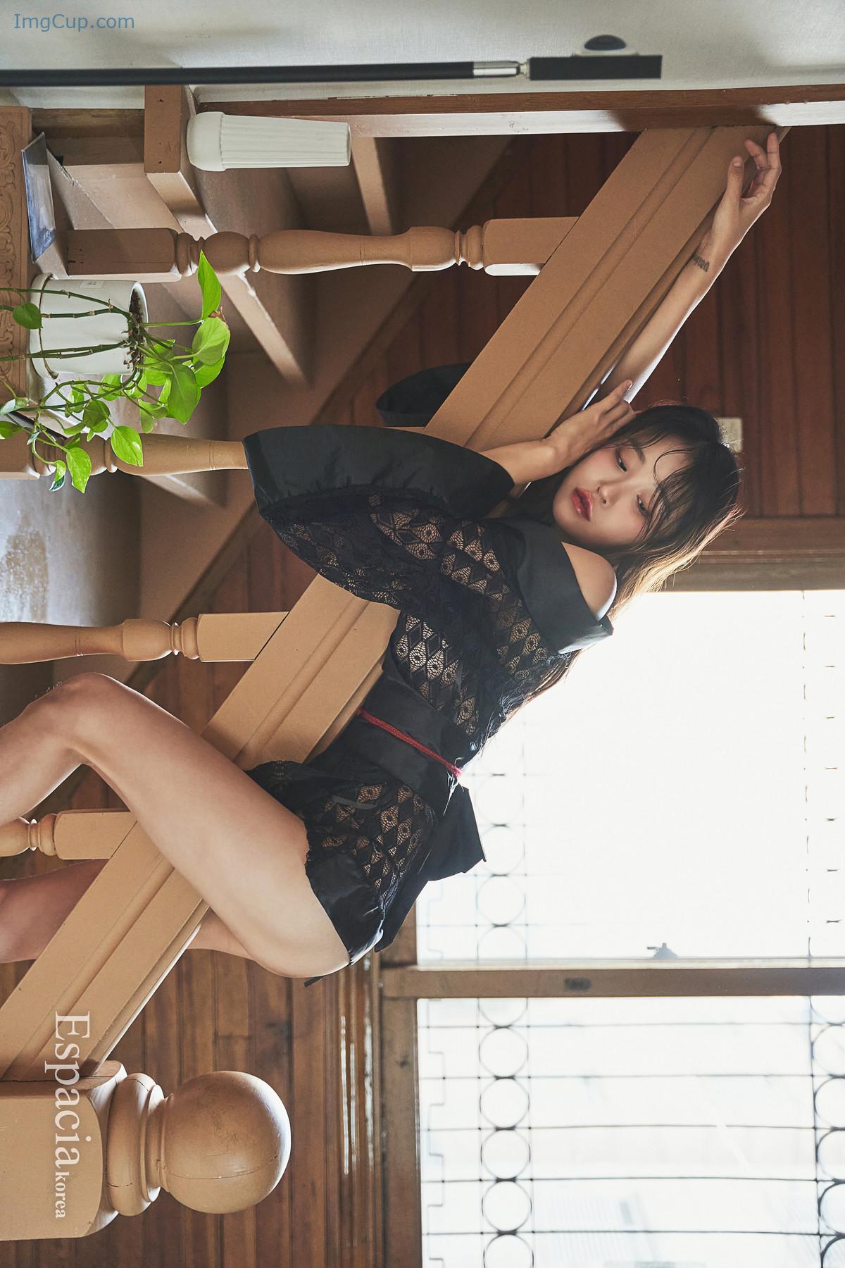 LESNEK1231_1.jpg LESNEK1231 1