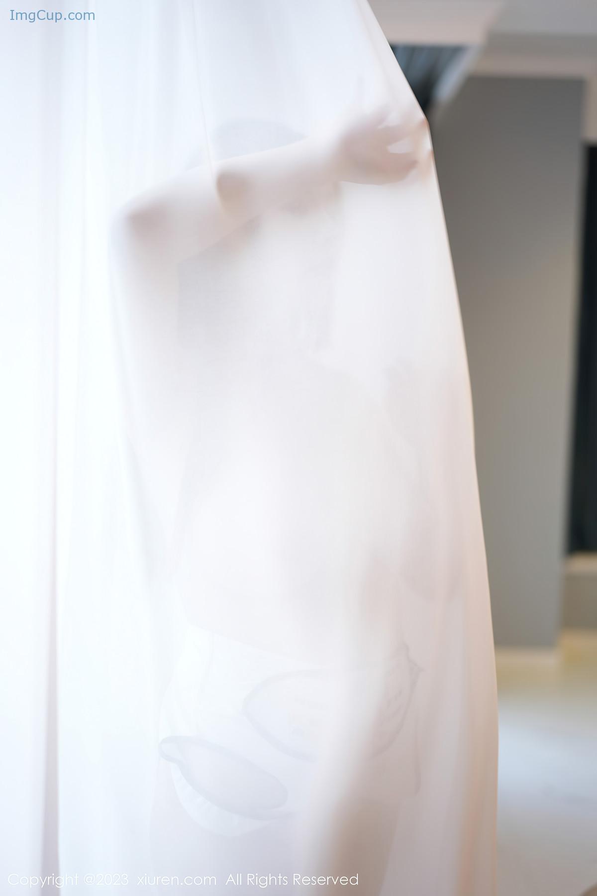 REN01B004_43.jpg REN01B004 43