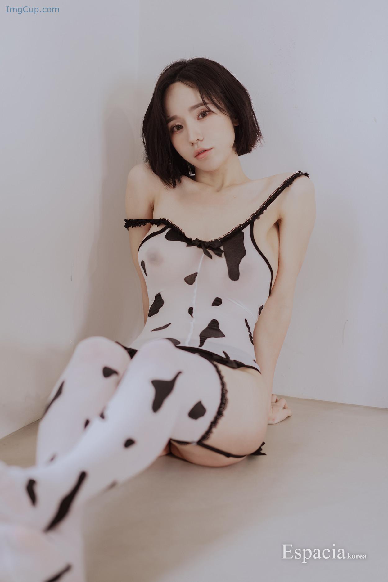 EHC091EK1_7.jpg EHC091EK1 7