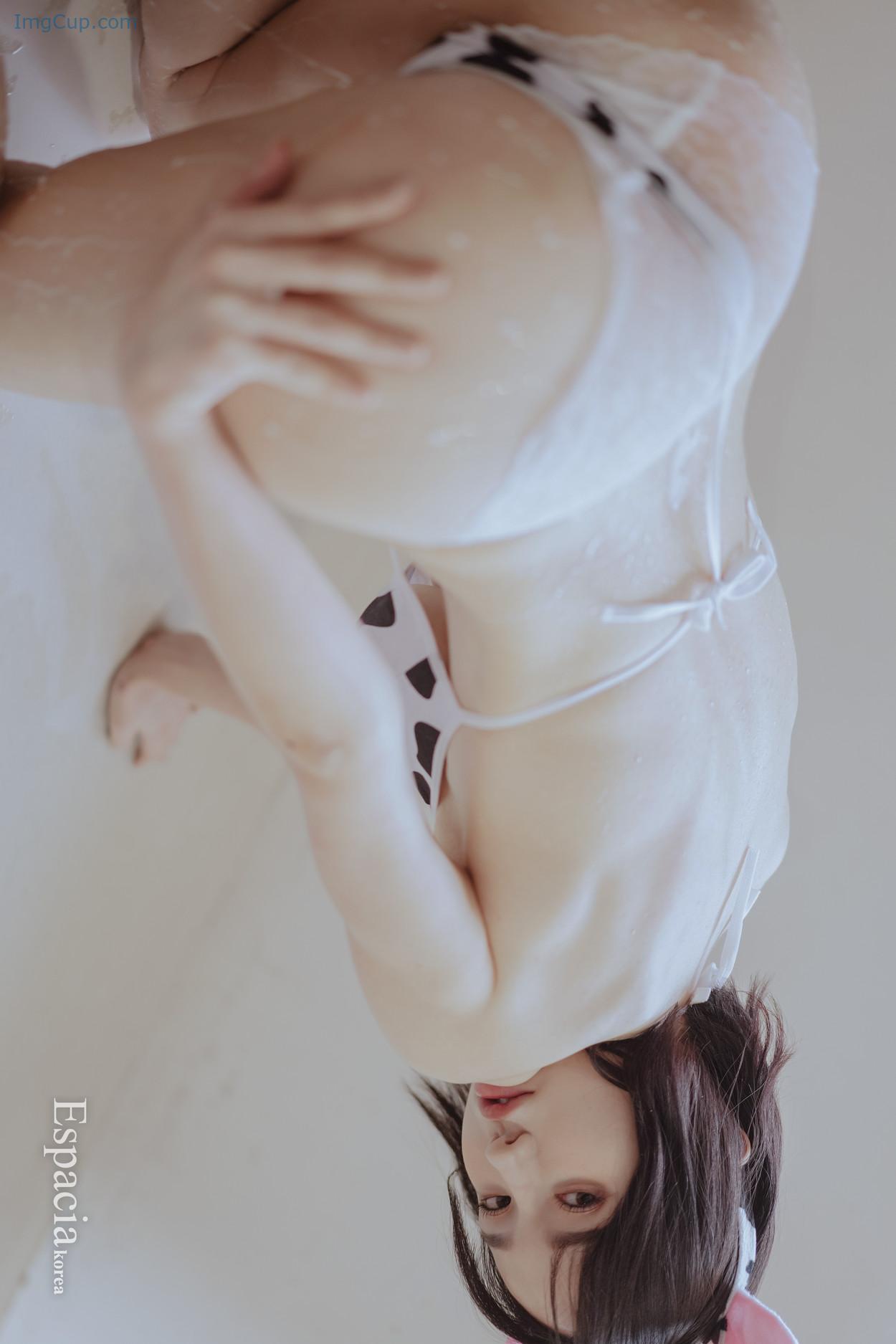 EHC091EK2_22.jpg EHC091EK2 22