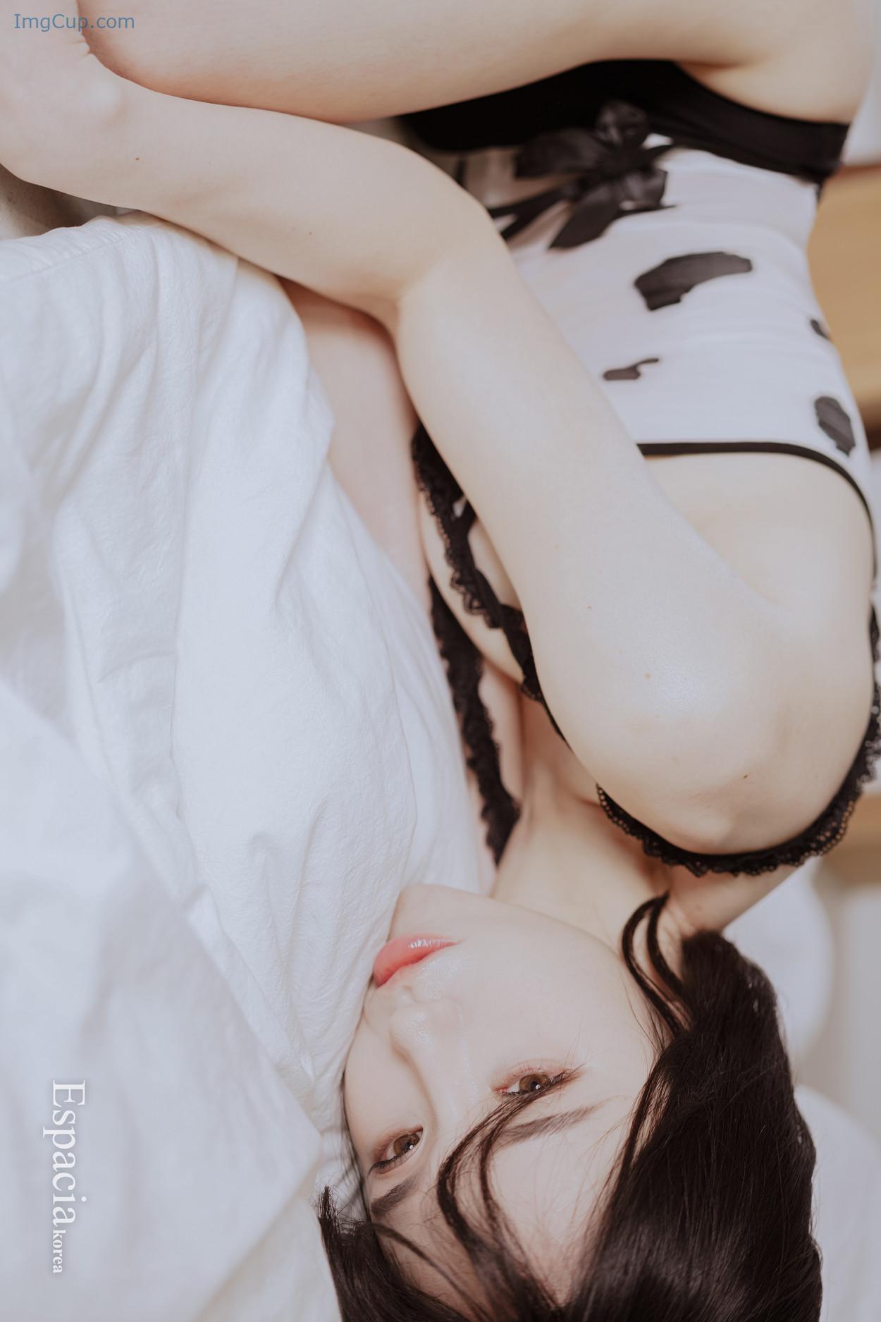 EHC091EK2_7.jpg EHC091EK2 7