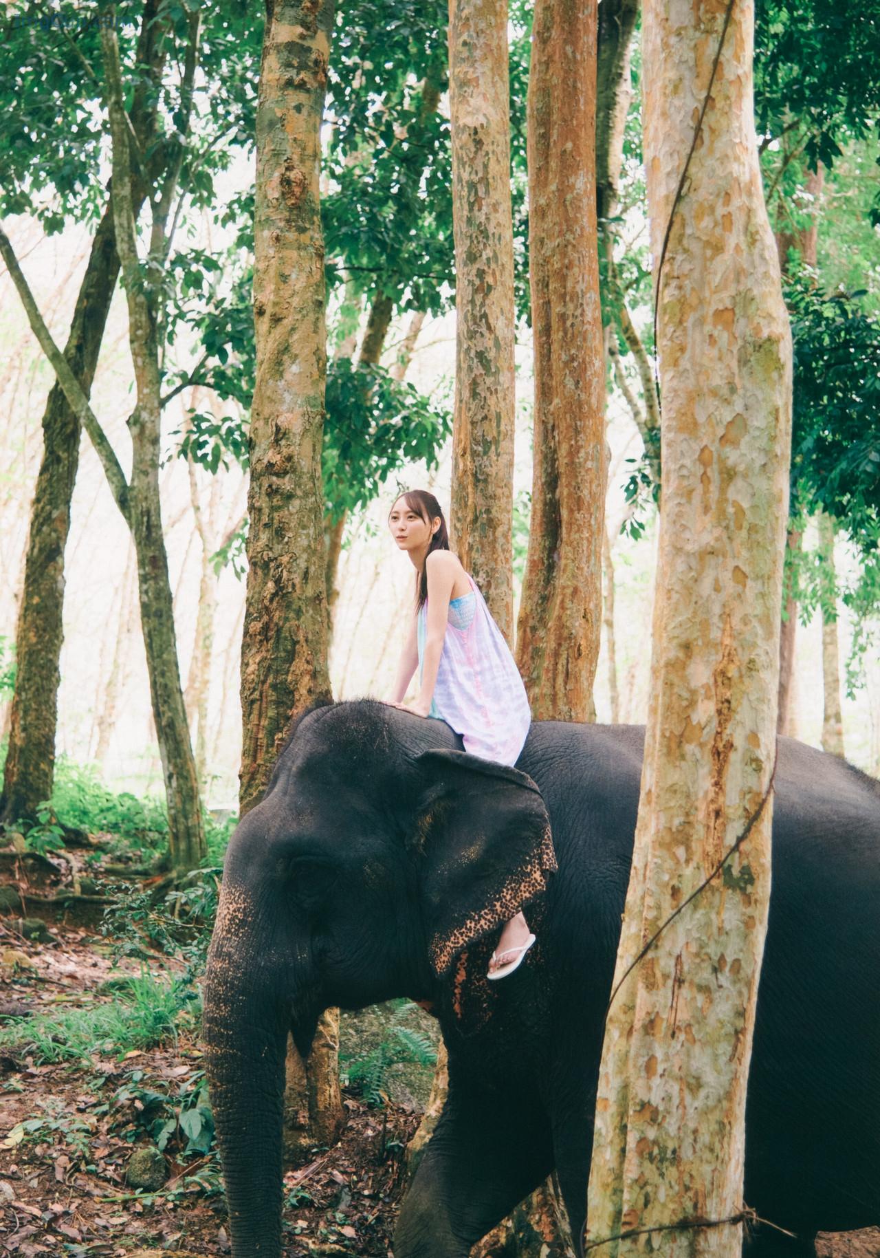 NAOTENSHI3_26.jpg NAOTENSHI3 26