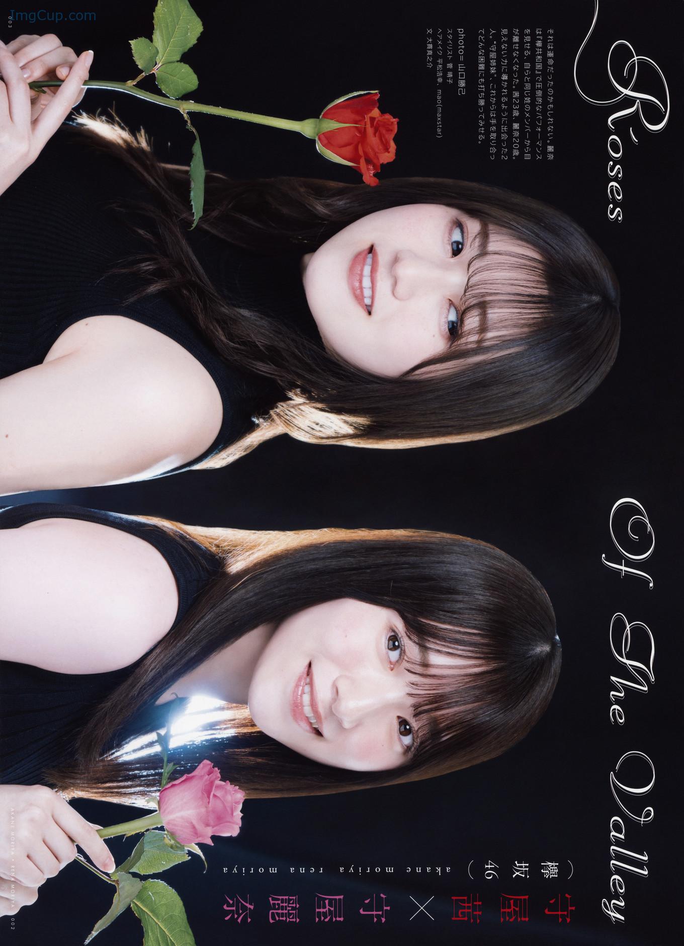 UTB290MOR_1.jpg UTB290MOR 1