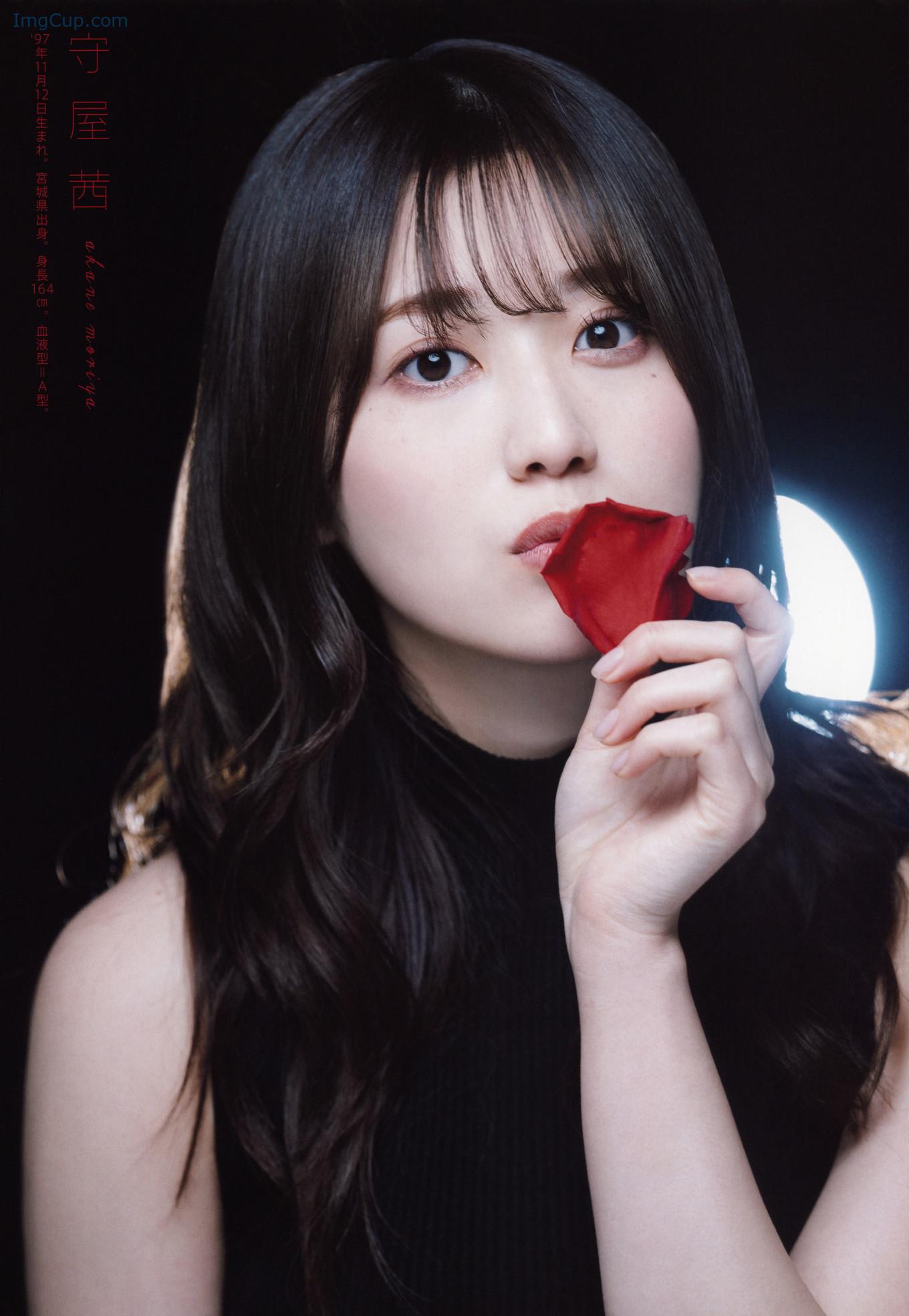 UTB290MOR_5.jpg UTB290MOR 5