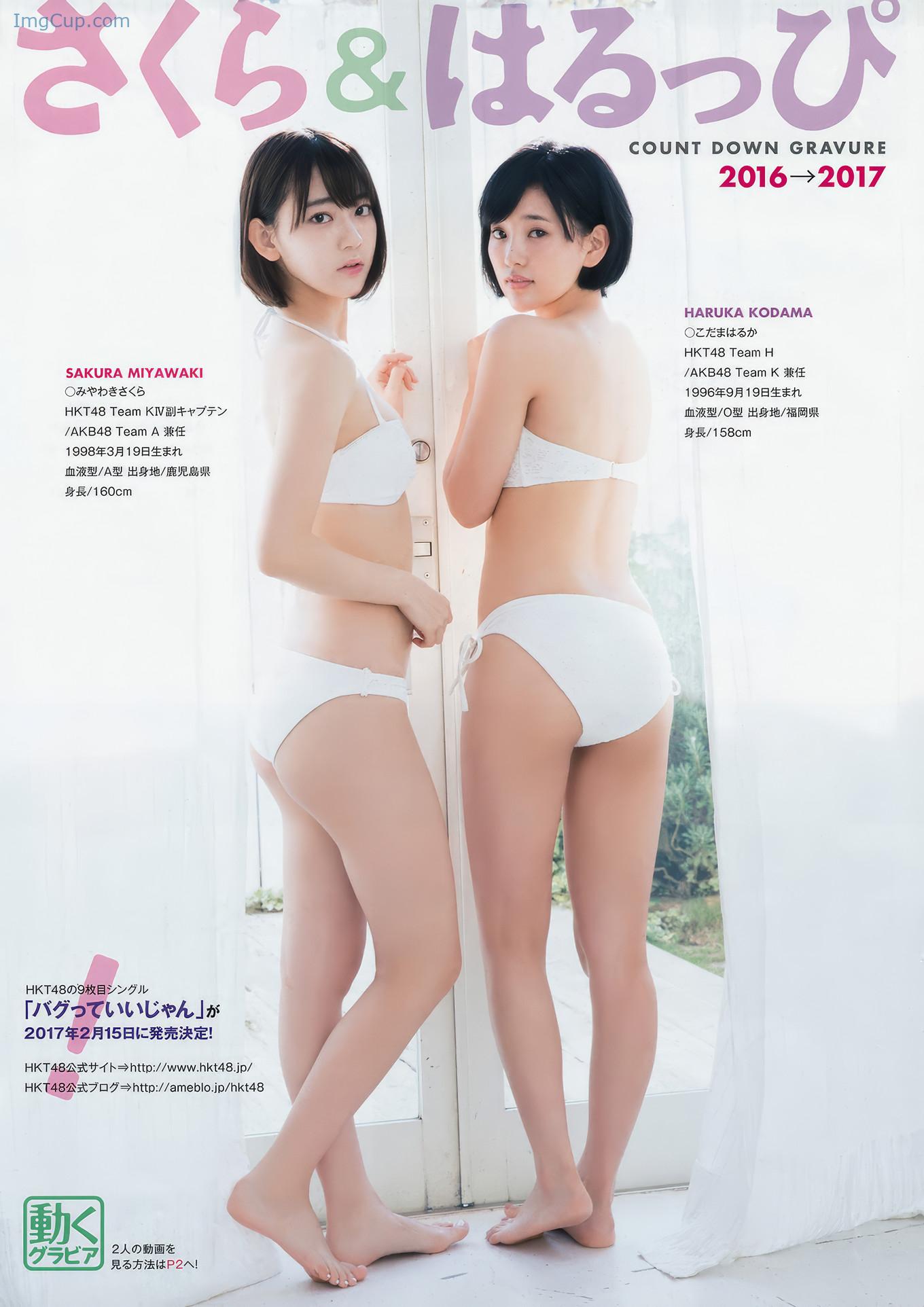 YA1701SAHA_13.jpg YA1701SAHA 13