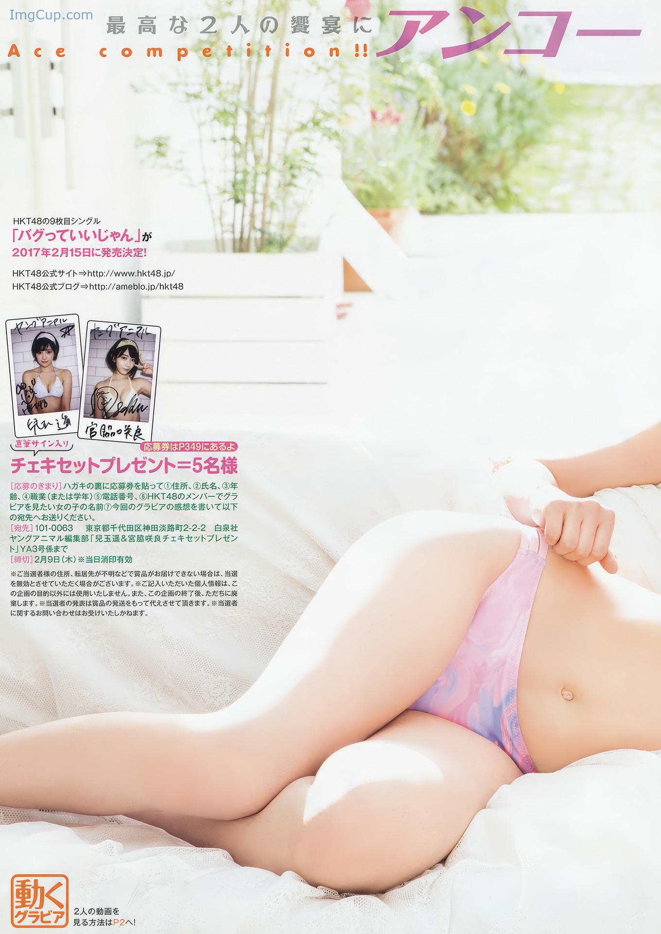 YA1703SAHA_10.jpg YA1703SAHA 10