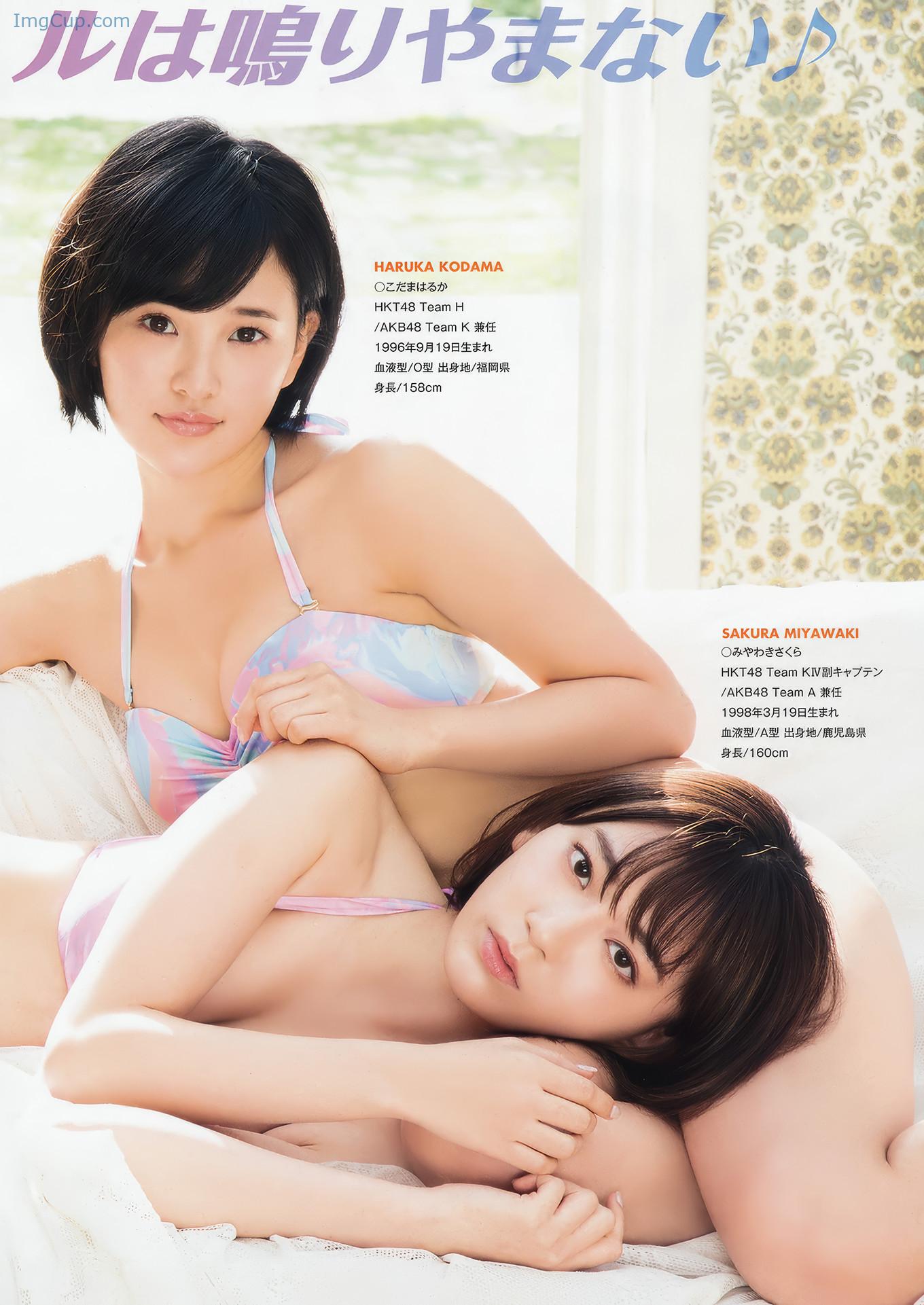 YA1703SAHA_11.jpg YA1703SAHA 11