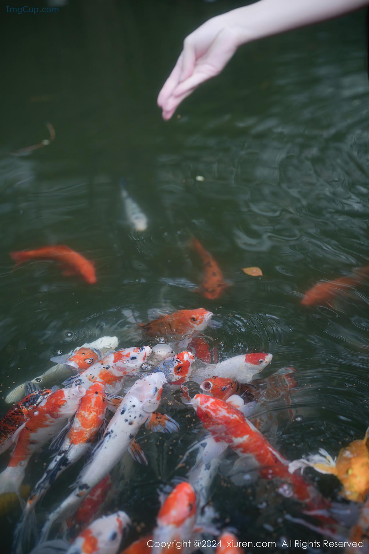 REN03V054_21.jpg REN03V054 21