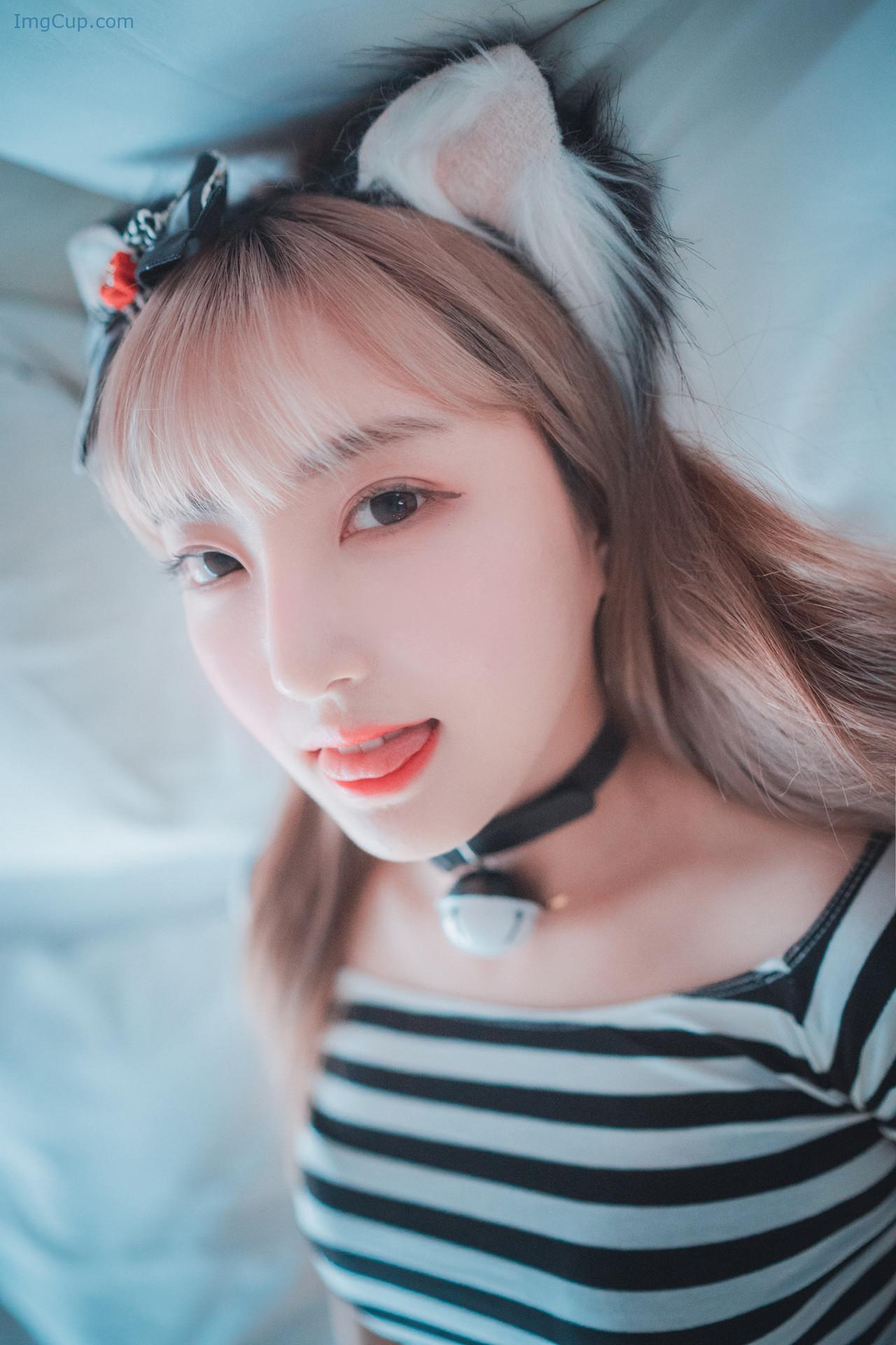 HANACATST3_26.jpg HANACATST3 26