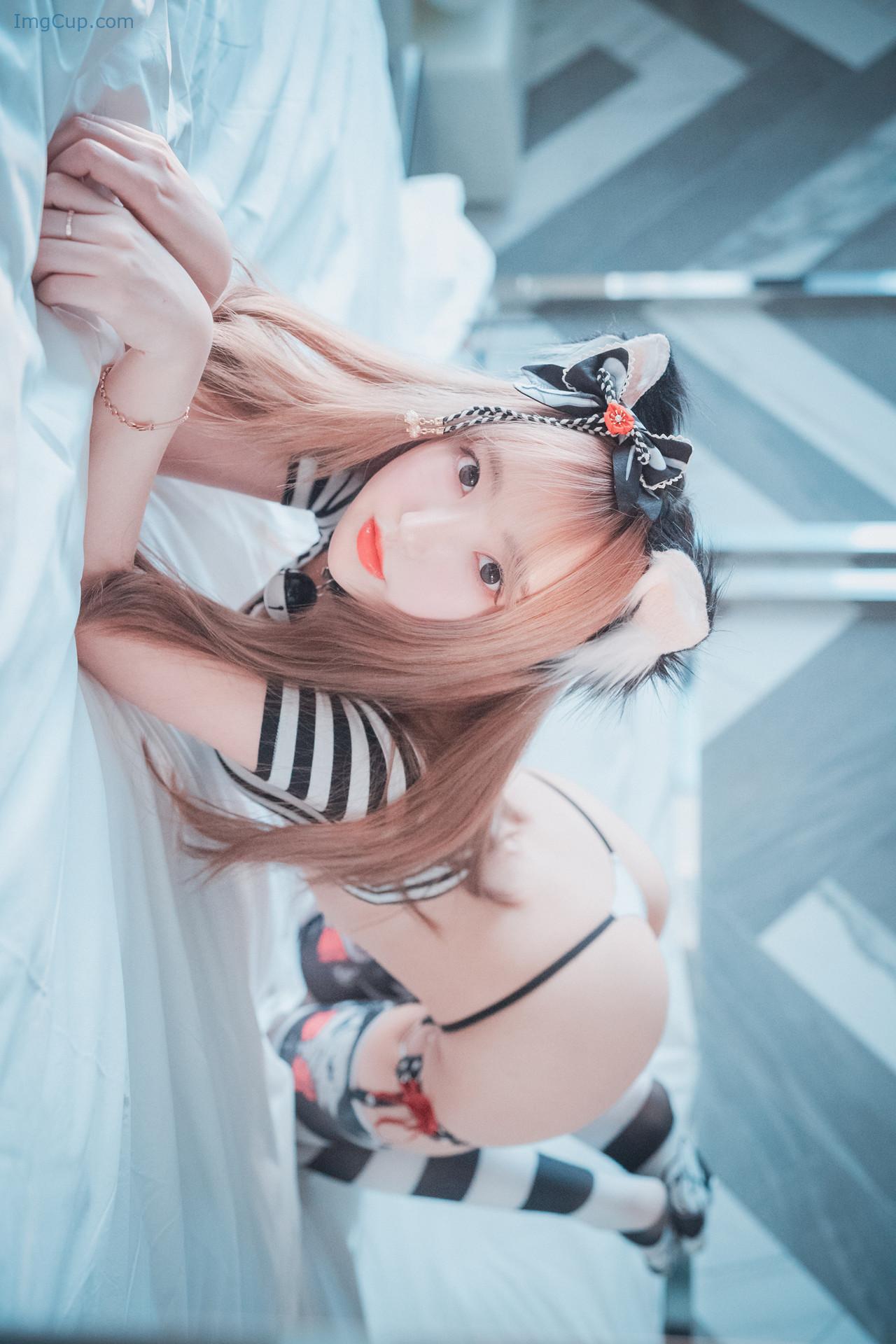 HANACATST3_7.jpg HANACATST3 7