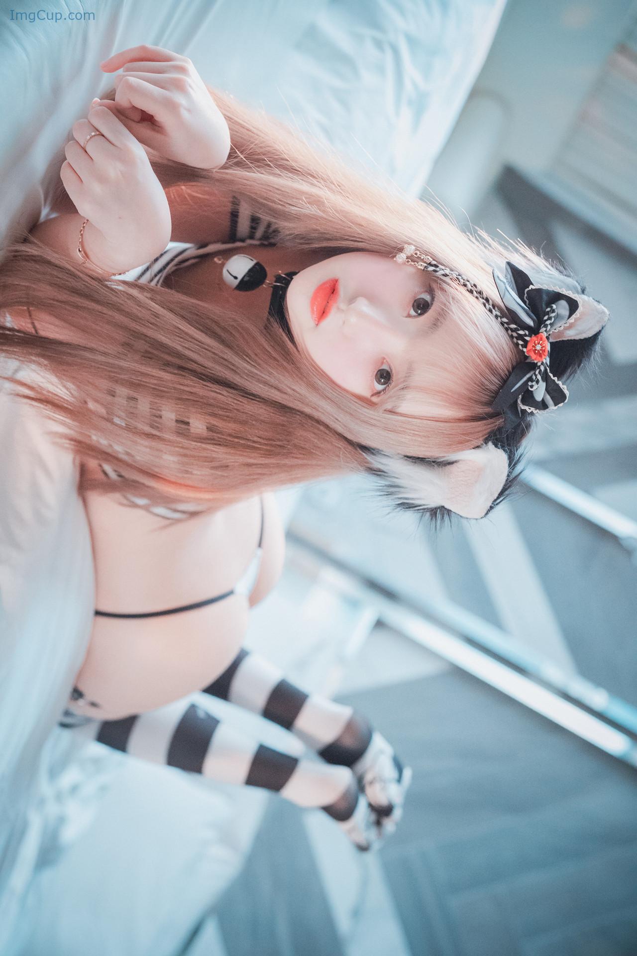 HANACATST3_8.jpg HANACATST3 8