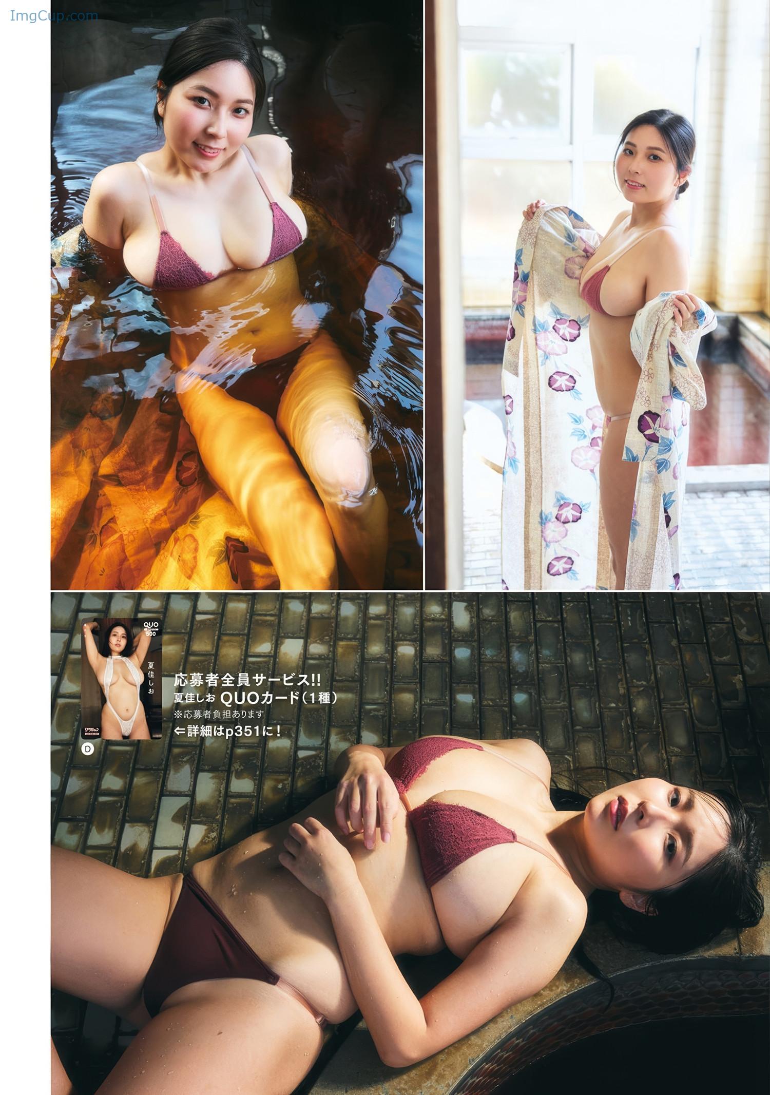 MAC415NASH_15.jpeg MAC415NASH 15