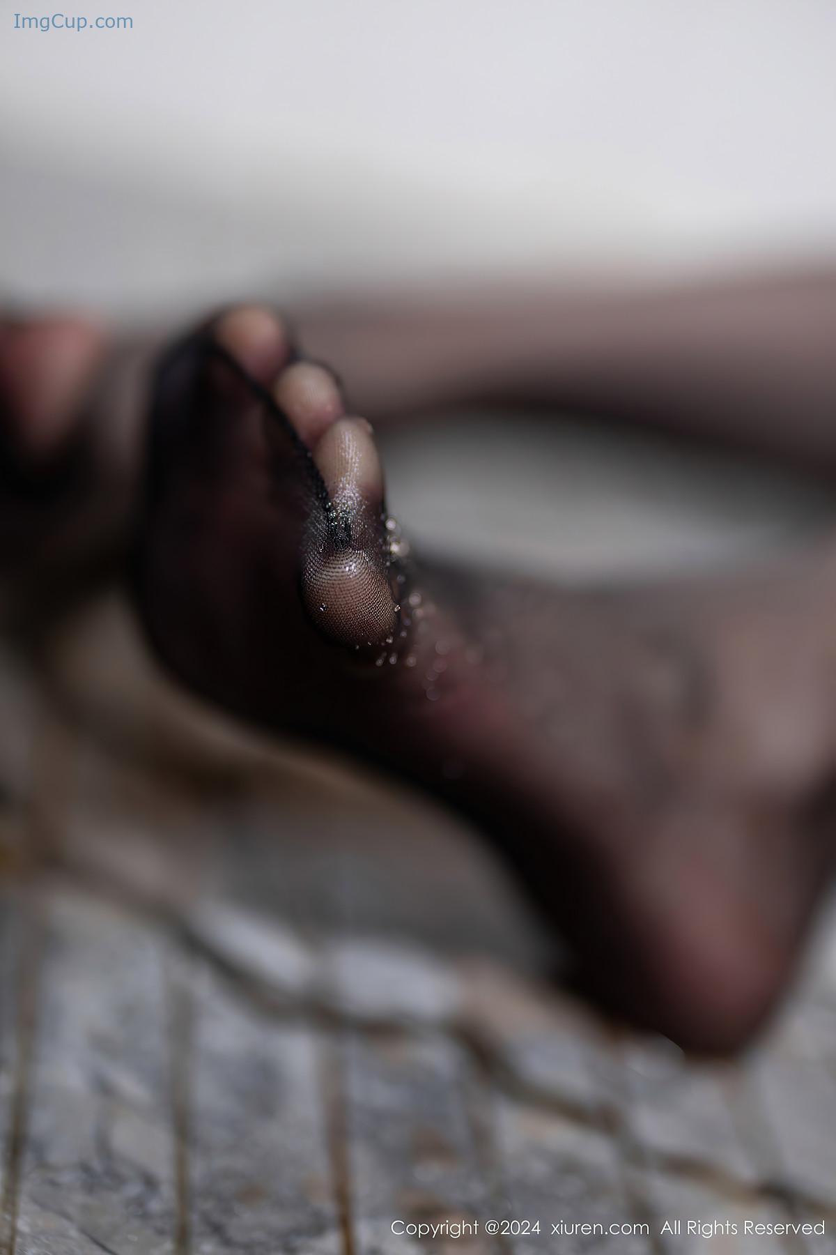 REN04V076_36.jpg REN04V076 36