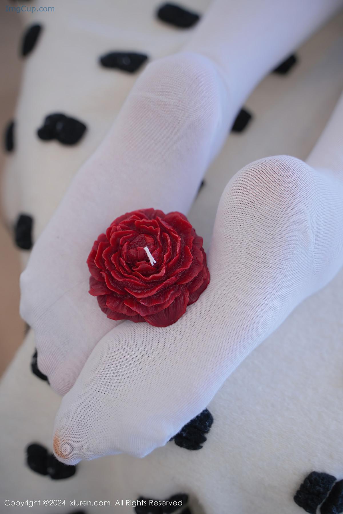 REN04V077_15.jpg REN04V077 15