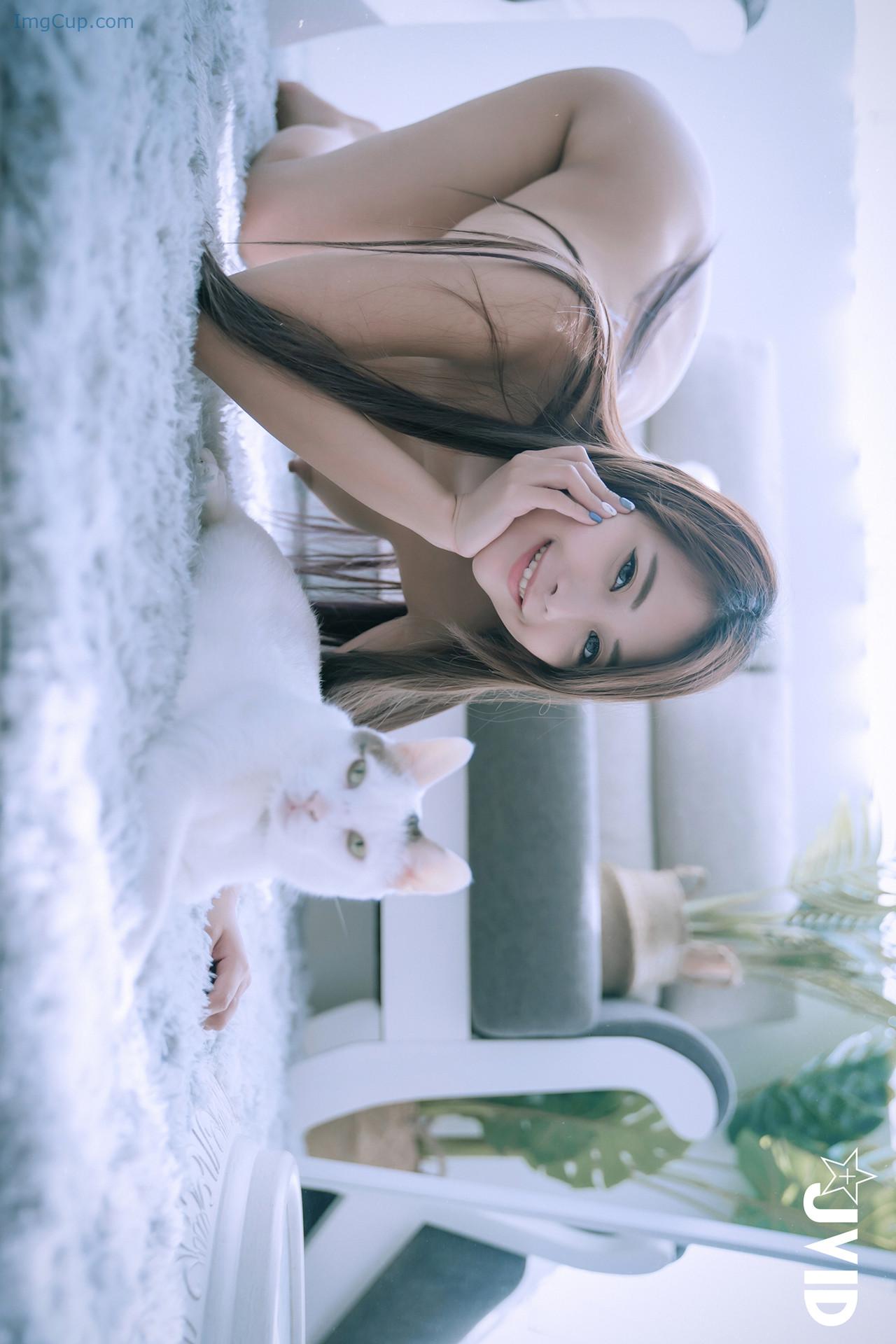 JVIDLELECAT2_23.jpg JVIDLELECAT2 23