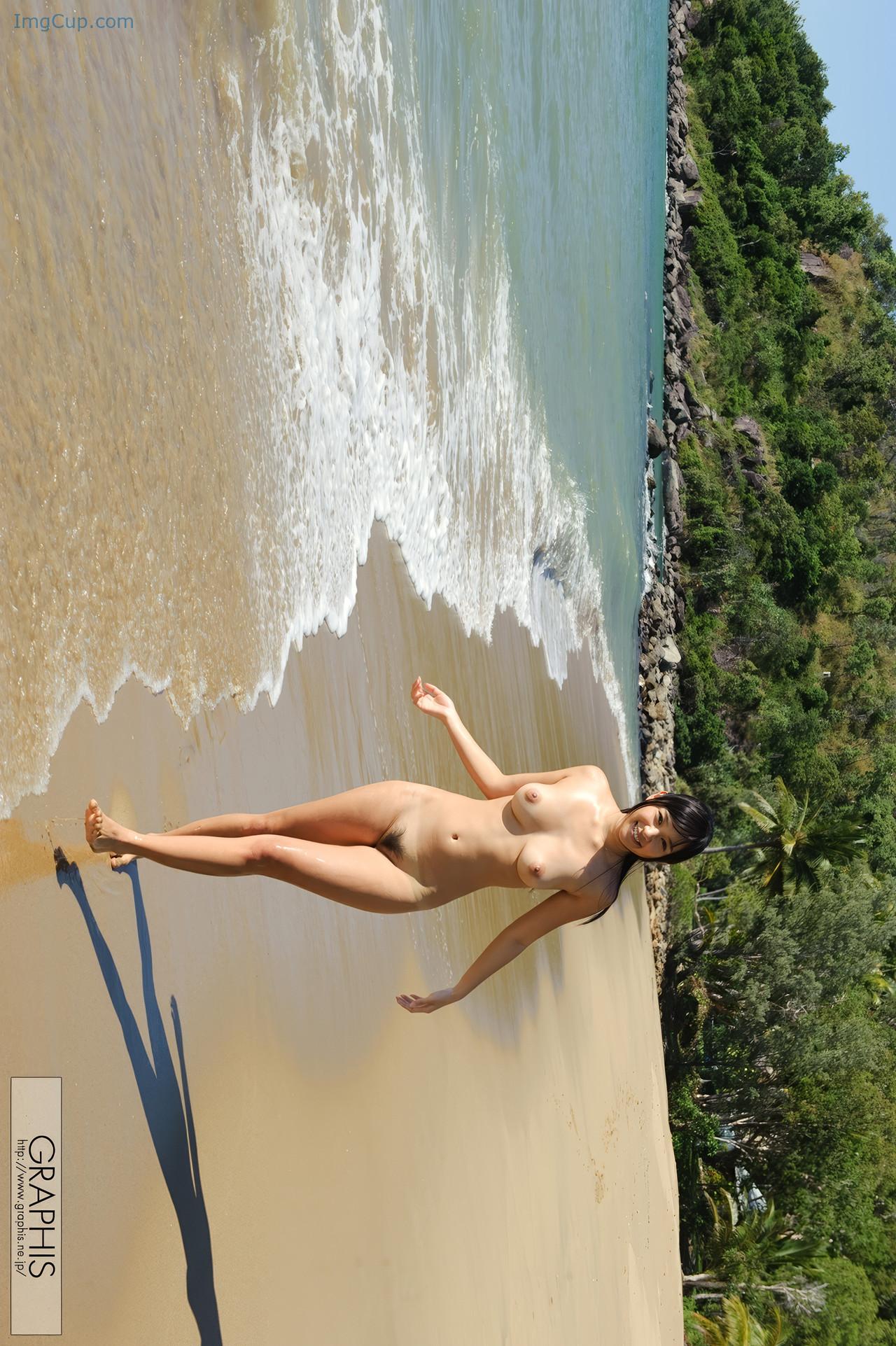 TURTLECOVE1_15.jpeg TURTLECOVE1 15