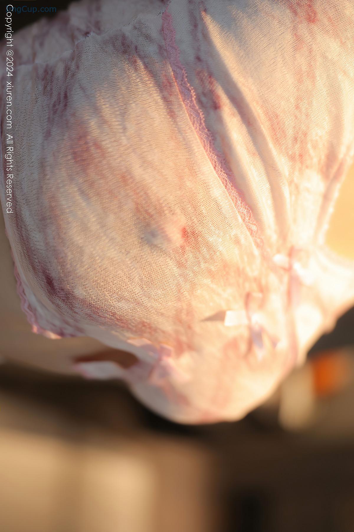 REN06A036_11.jpg rj539Nco REN06A036 11