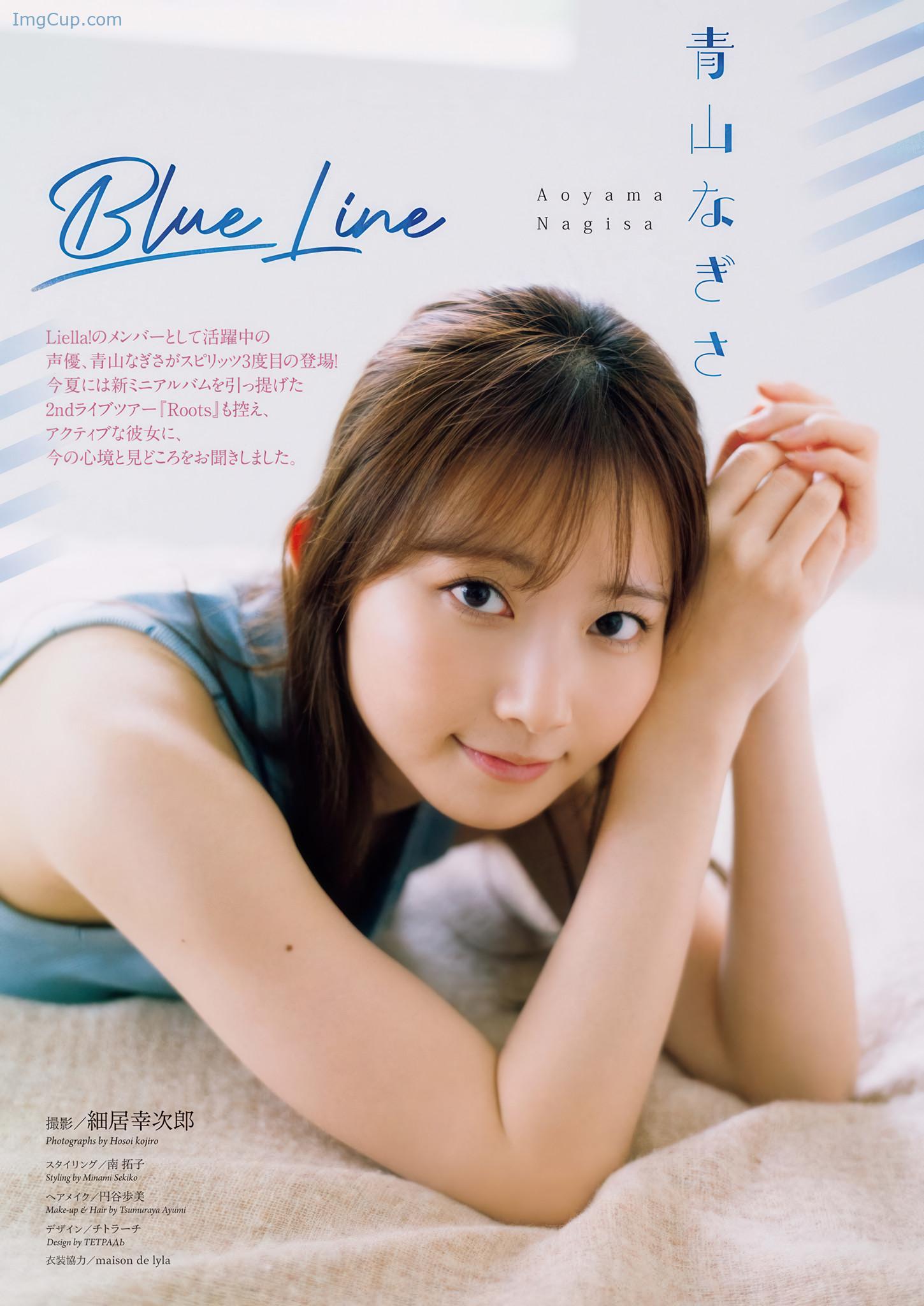 BCS33NAGIS_2.jpg BCS33NAGIS 2