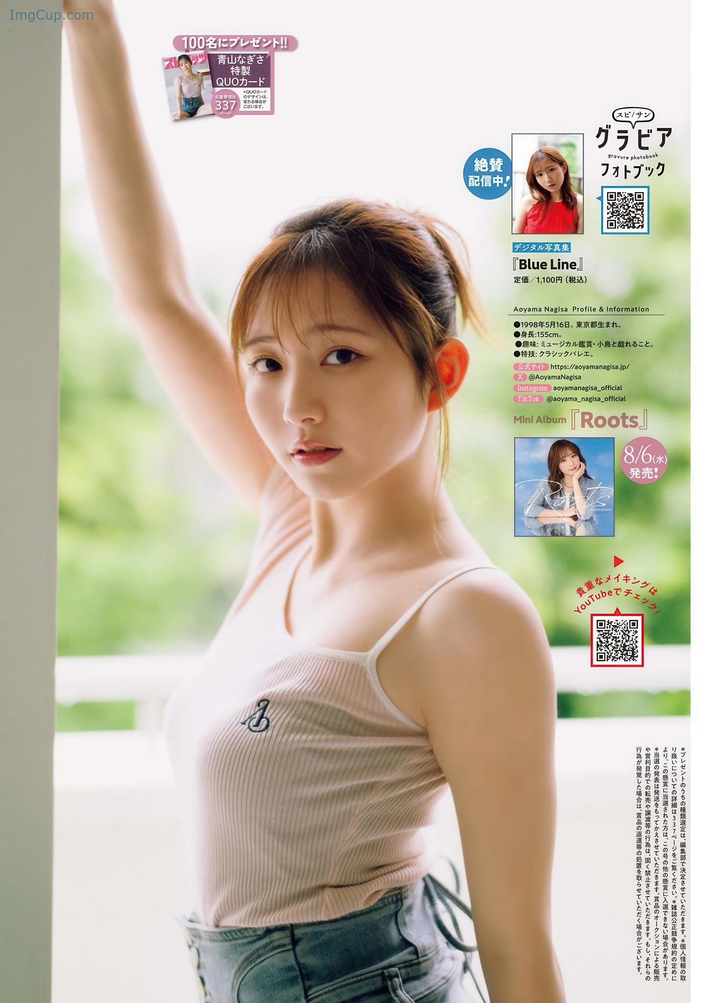 BCS33NAGIS_6.jpg BCS33NAGIS 6