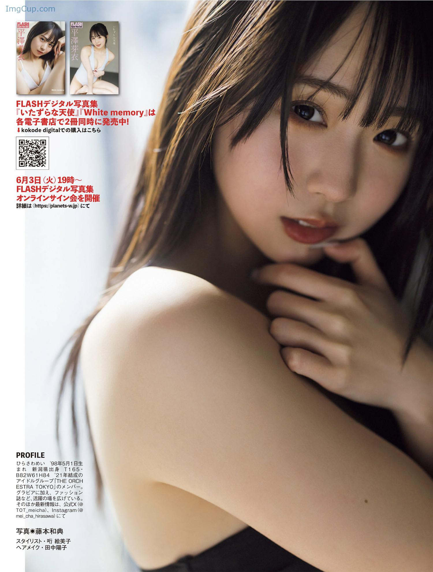 FS0610MEIH_5.jpg FS0610MEIH 5