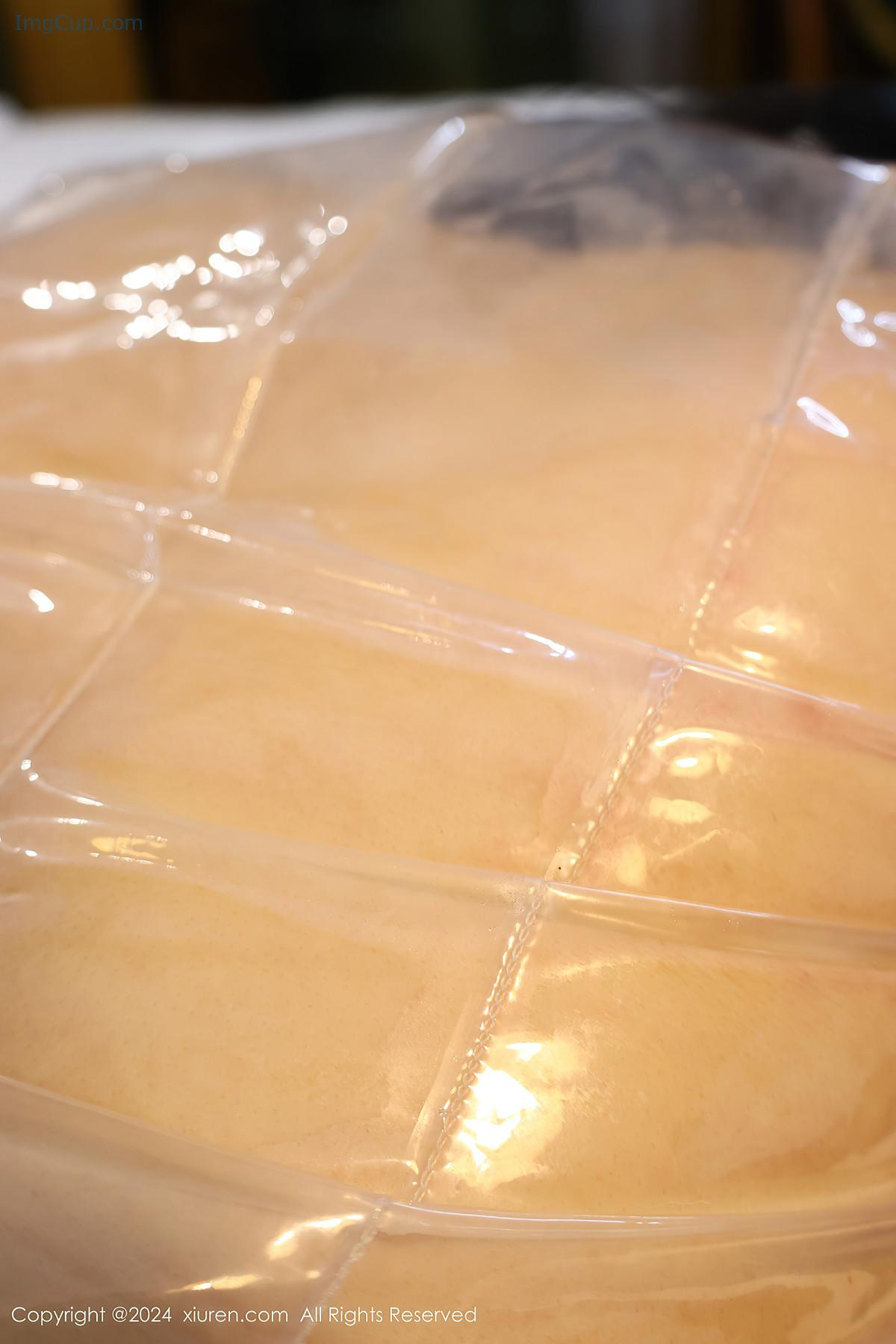 REN06Z003_72.jpg REN06Z003 72