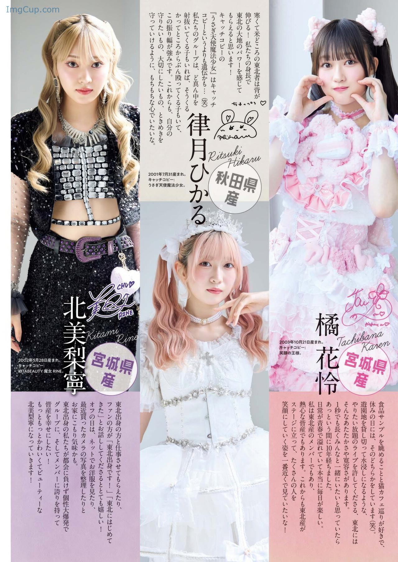 BCS38IGITO_3.jpg BCS38IGITO 3