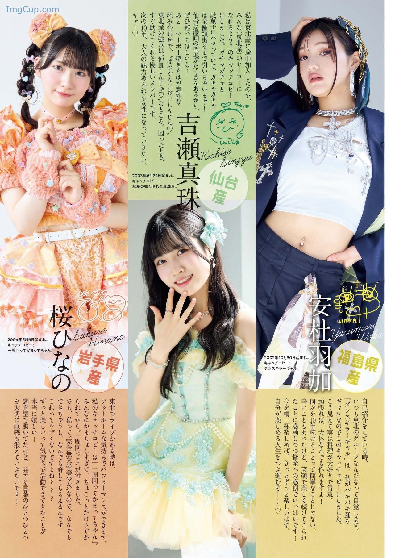 BCS38IGITO_4.jpg BCS38IGITO 4