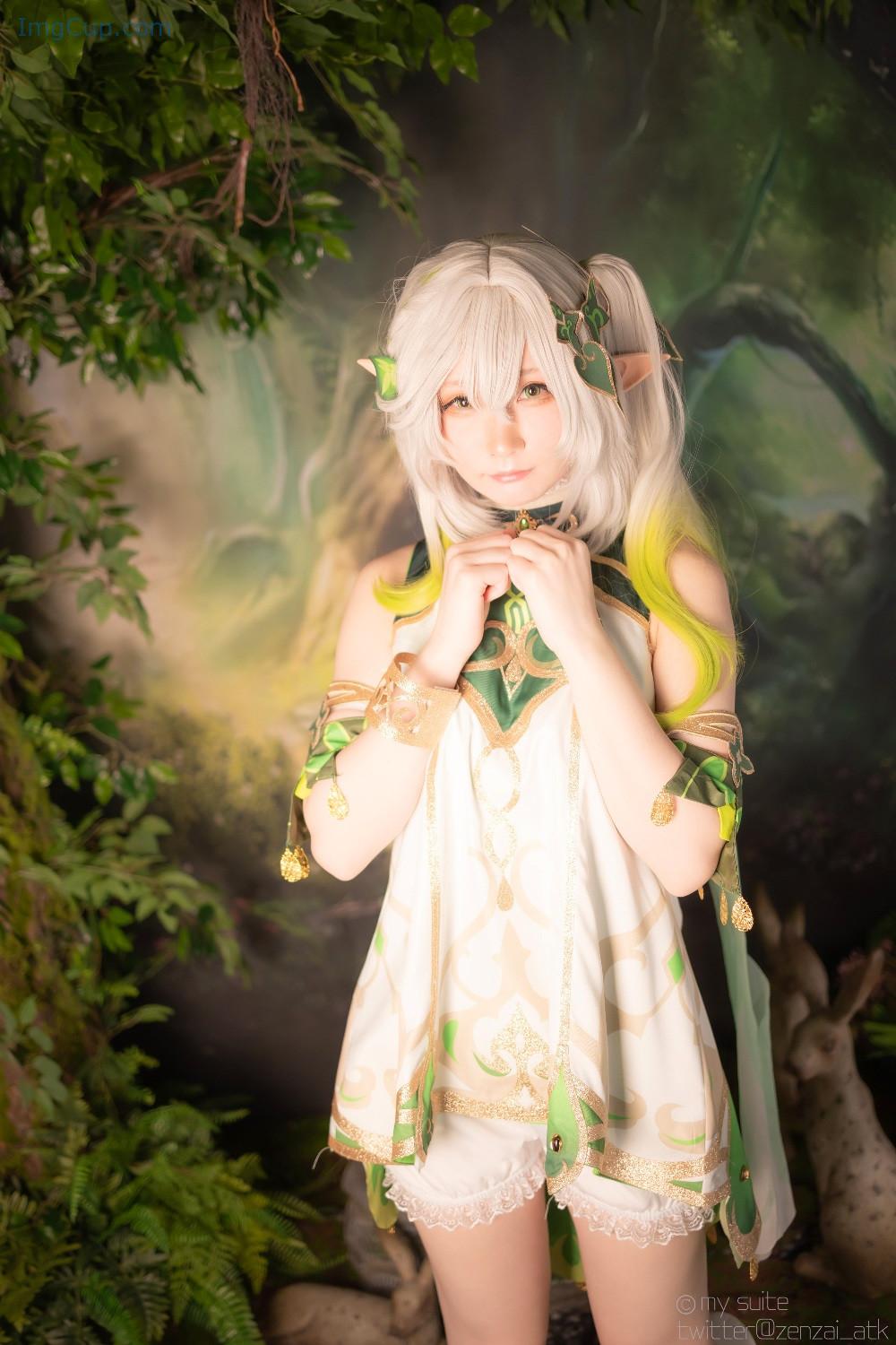 COS08A035_10.jpg COS08A035 10