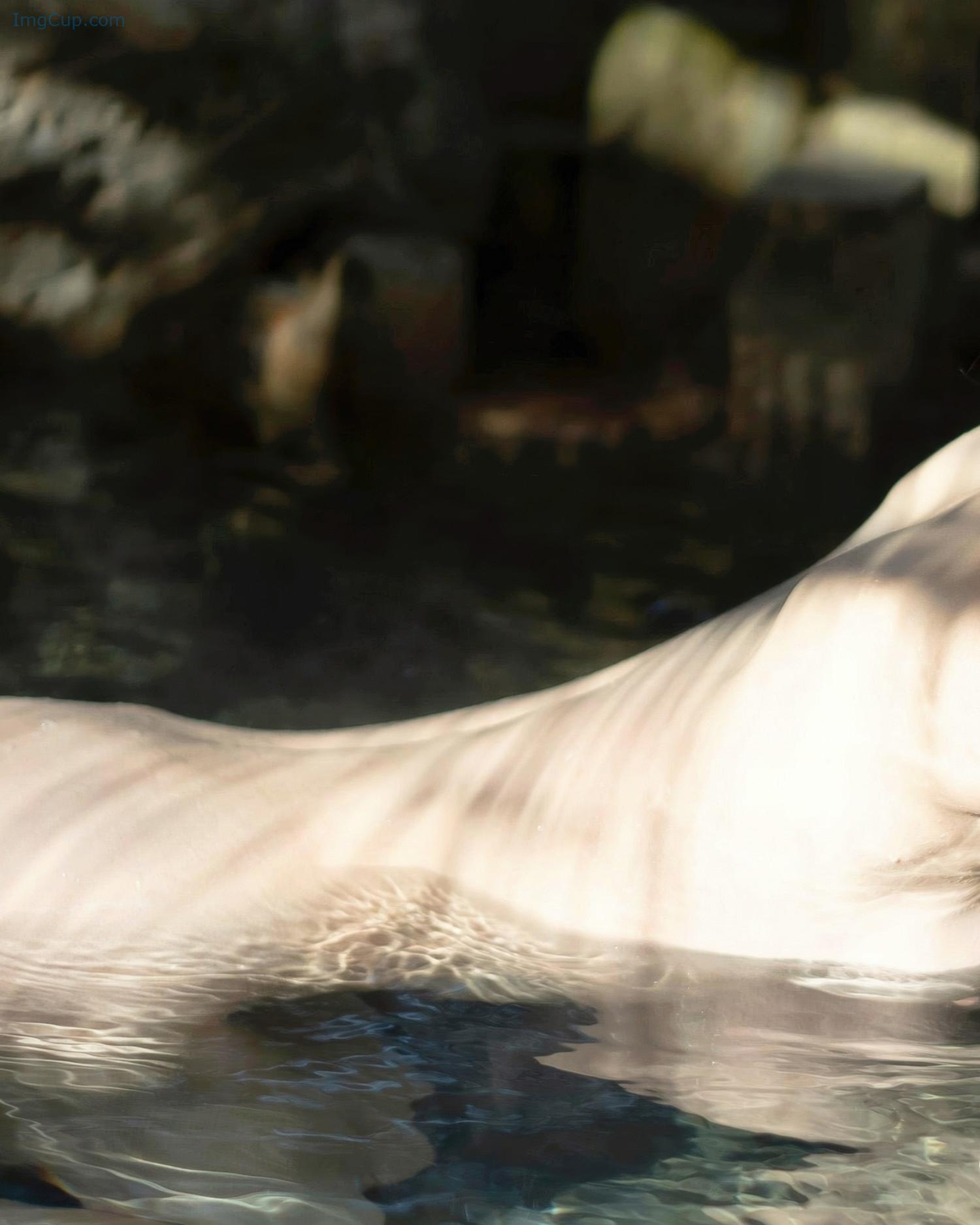 NANODREAM3_21.jpg NANODREAM3 21