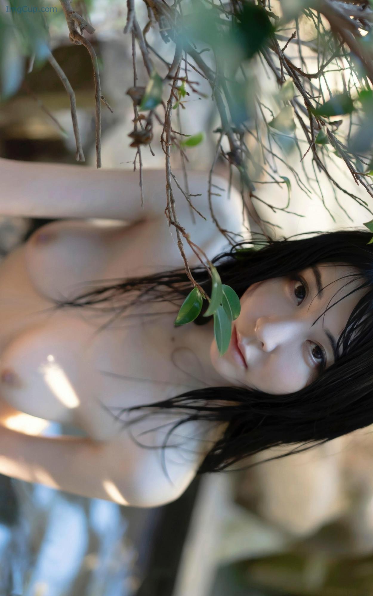 NANODREAM3_66.jpg NANODREAM3 66