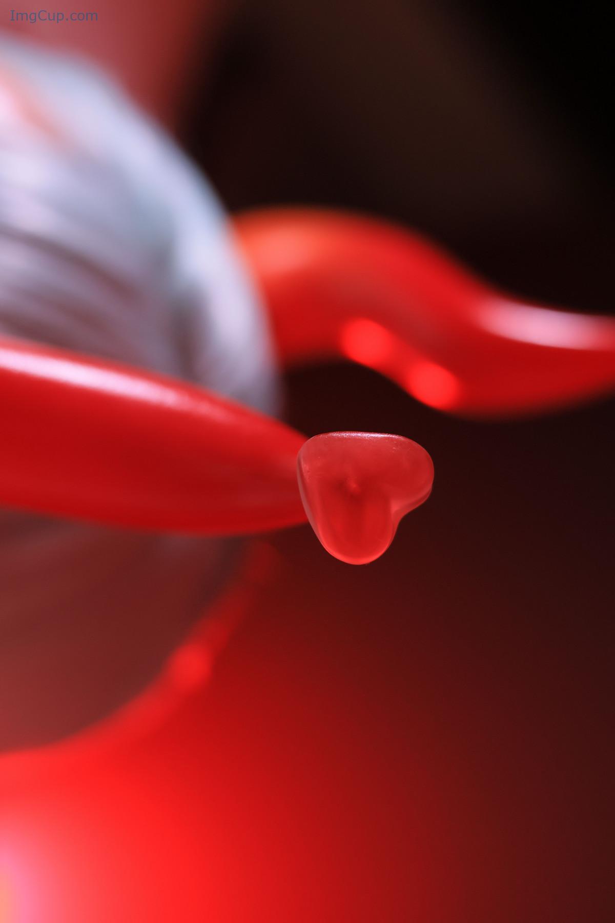 REDDONGE03_48.jpg REDDONGE03 48