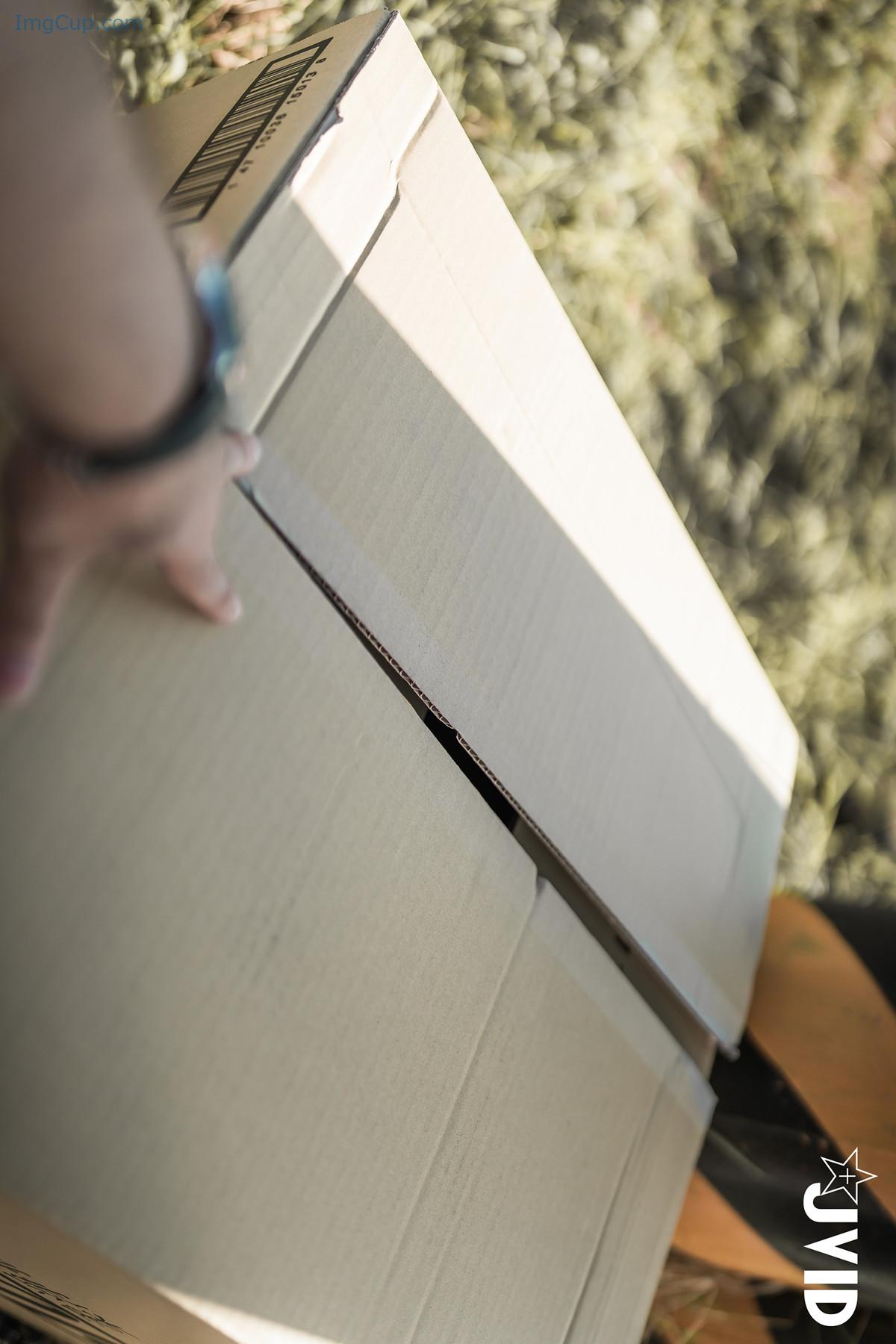 PIAOHCAT03_12.jpg PIAOHCAT03 12