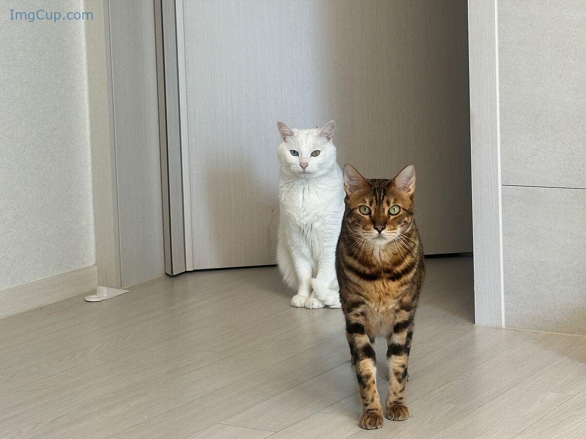 1762614168_340_Auddk_77-명아-–-명아는-오또케-Part06-68P.jpg 1762614168 340 Auddk 77 명아 – 명아는 오또케 Part06 68P