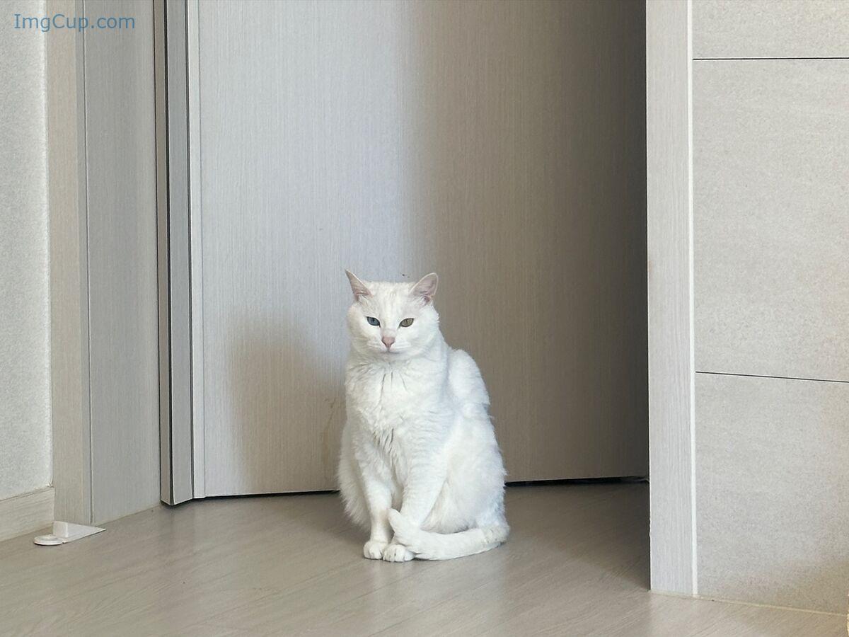 1762614173_195_Auddk_77-명아-–-명아는-오또케-Part06-68P.jpg 1762614173 195 Auddk 77 명아 – 명아는 오또케 Part06 68P