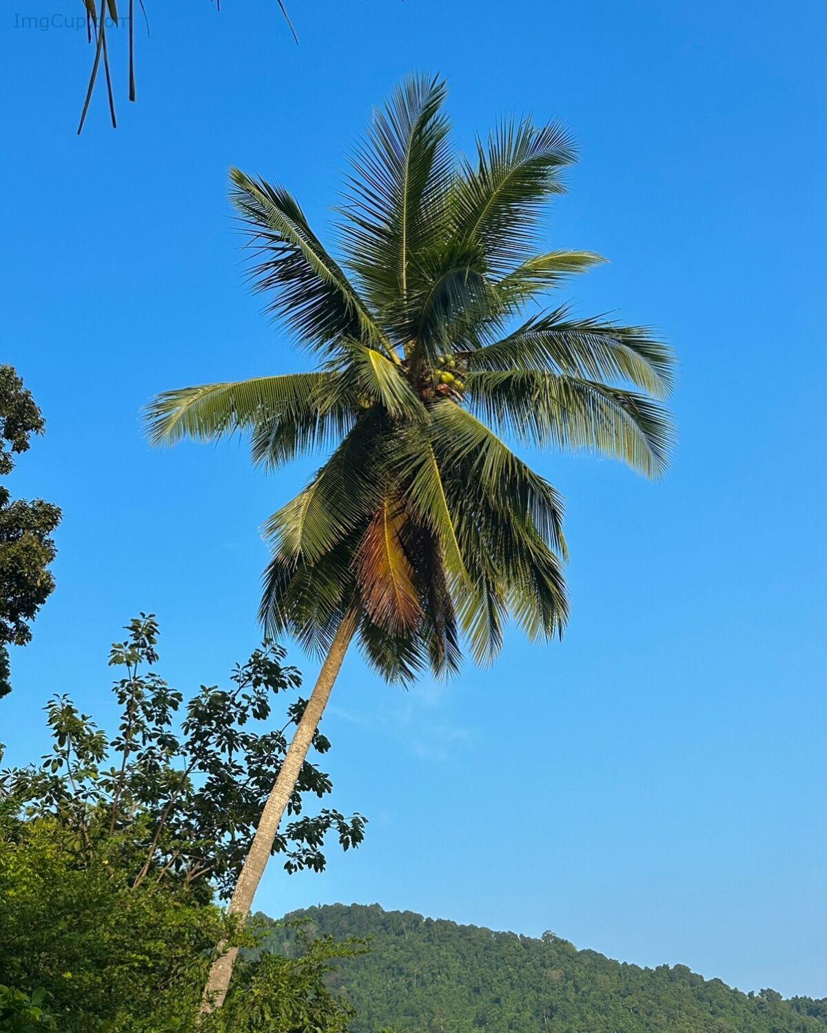 1762635866_617_Auddk_77-명아-–-명아는-오또케-Part05-68P.jpg 1762635866 617 Auddk 77 명아 – 명아는 오또케 Part05 68P