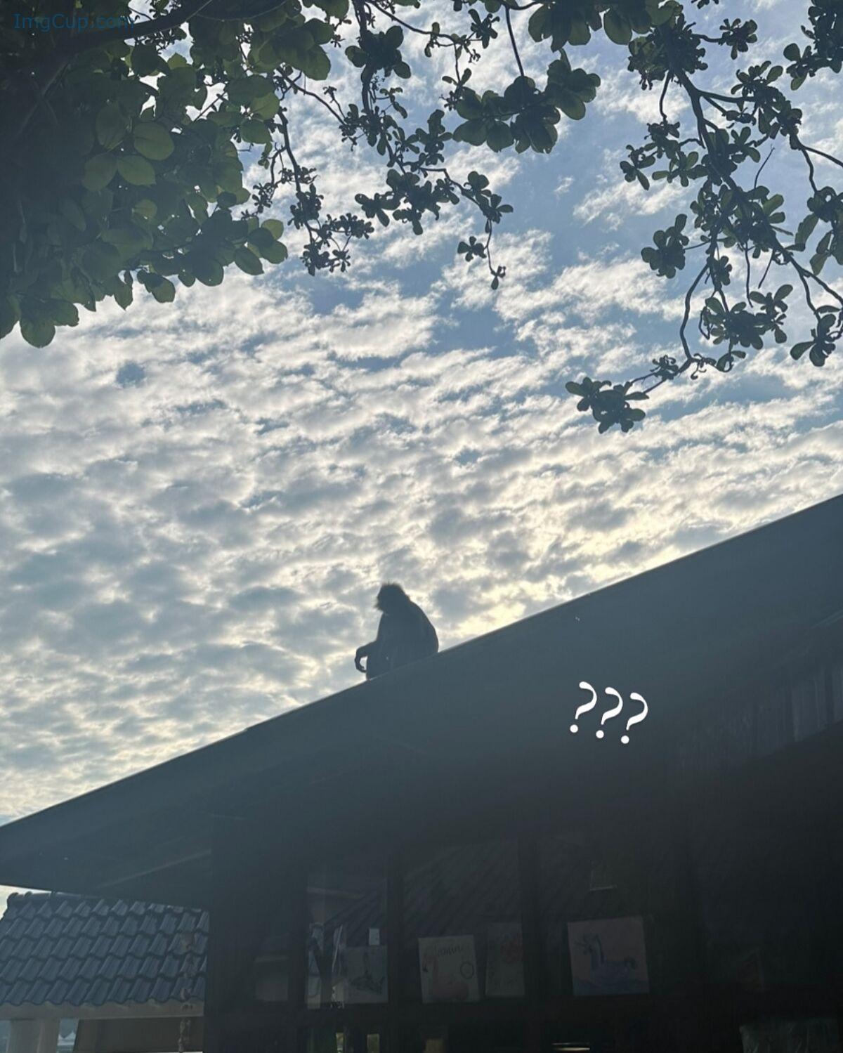 1762657480_497_Auddk_77-명아-–-명아는-오또케-Part04-68P.jpg 1762657480 497 Auddk 77 명아 – 명아는 오또케 Part04 68P