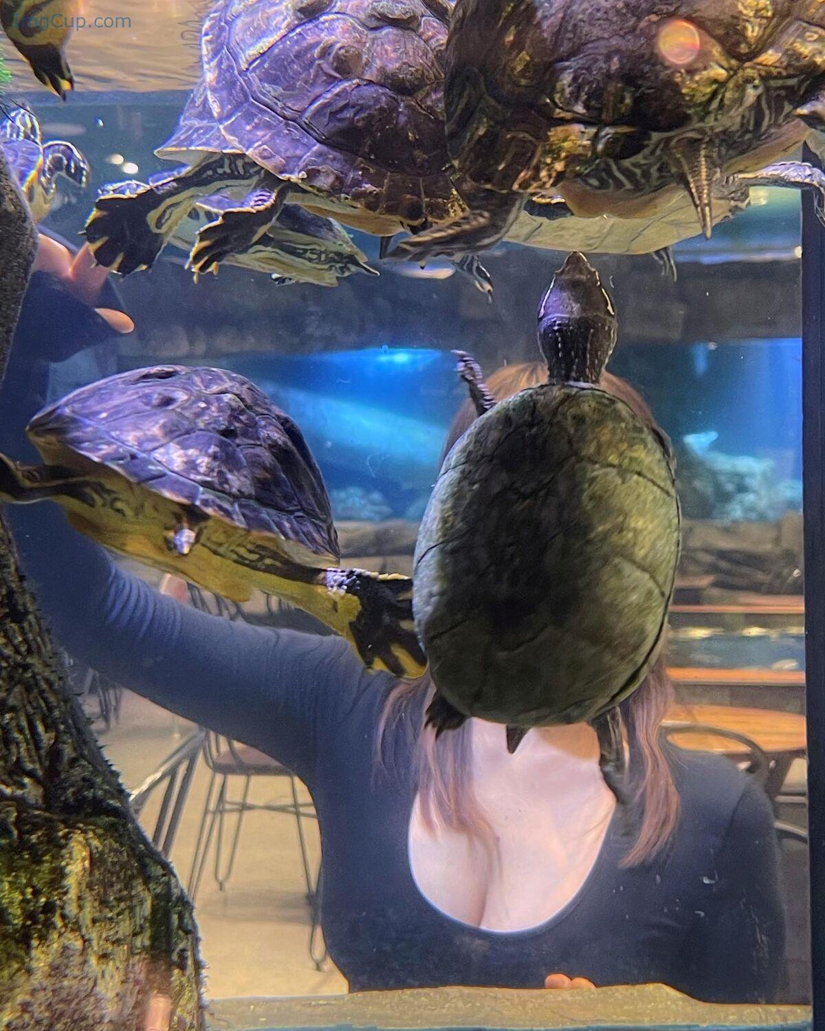 1762657516_558_Auddk_77-명아-–-명아는-오또케-Part04-68P.jpg 1762657516 558 Auddk 77 명아 – 명아는 오또케 Part04 68P