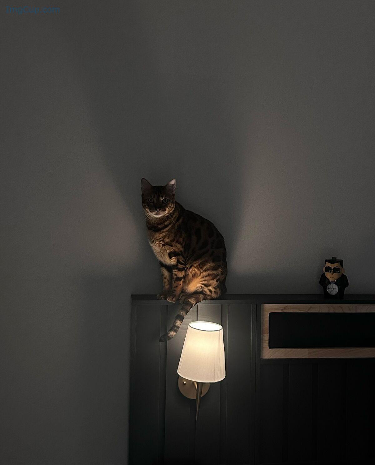 1762679174_528_Auddk_77-명아-–-명아는-오또케-Part03-68P.jpg 1762679174 528 Auddk 77 명아 – 명아는 오또케 Part03 68P