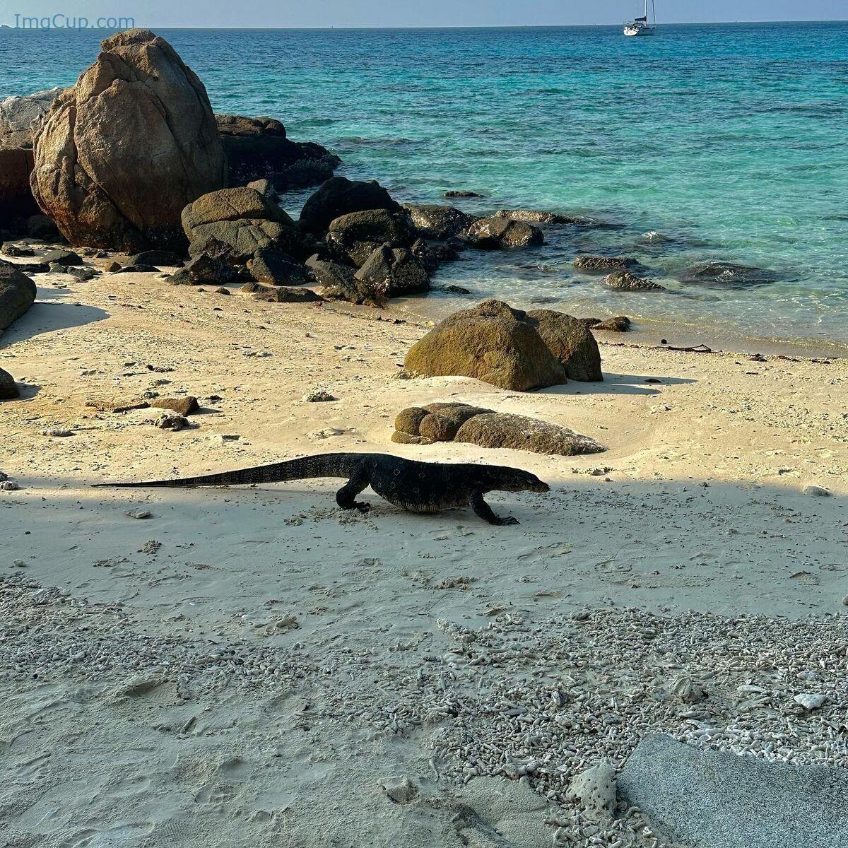 1762700889_759_Auddk_77-명아-–-명아는-오또케-Part02-68P.jpg 1762700889 759 Auddk 77 명아 – 명아는 오또케 Part02 68P