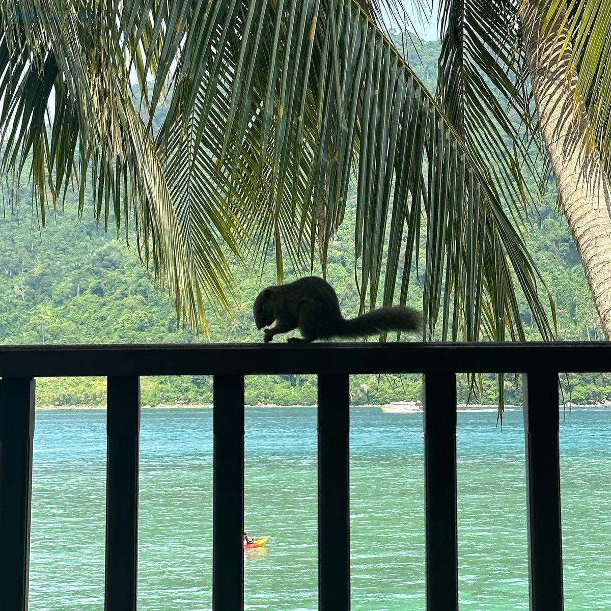 1762700896_811_Auddk_77-명아-–-명아는-오또케-Part02-68P.jpg 1762700896 811 Auddk 77 명아 – 명아는 오또케 Part02 68P