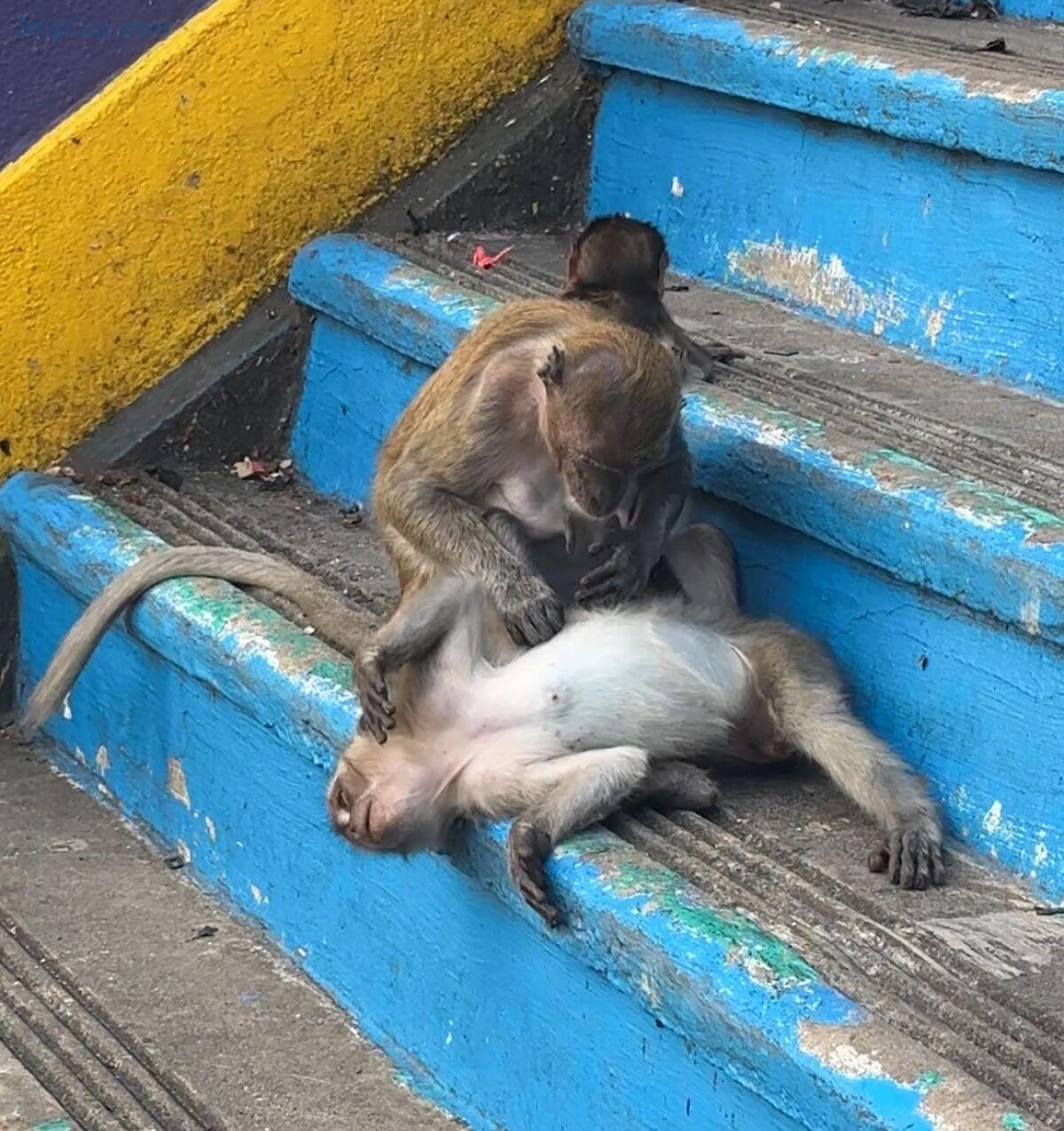 1762700901_968_Auddk_77-명아-–-명아는-오또케-Part02-68P.jpg 1762700901 968 Auddk 77 명아 – 명아는 오또케 Part02 68P