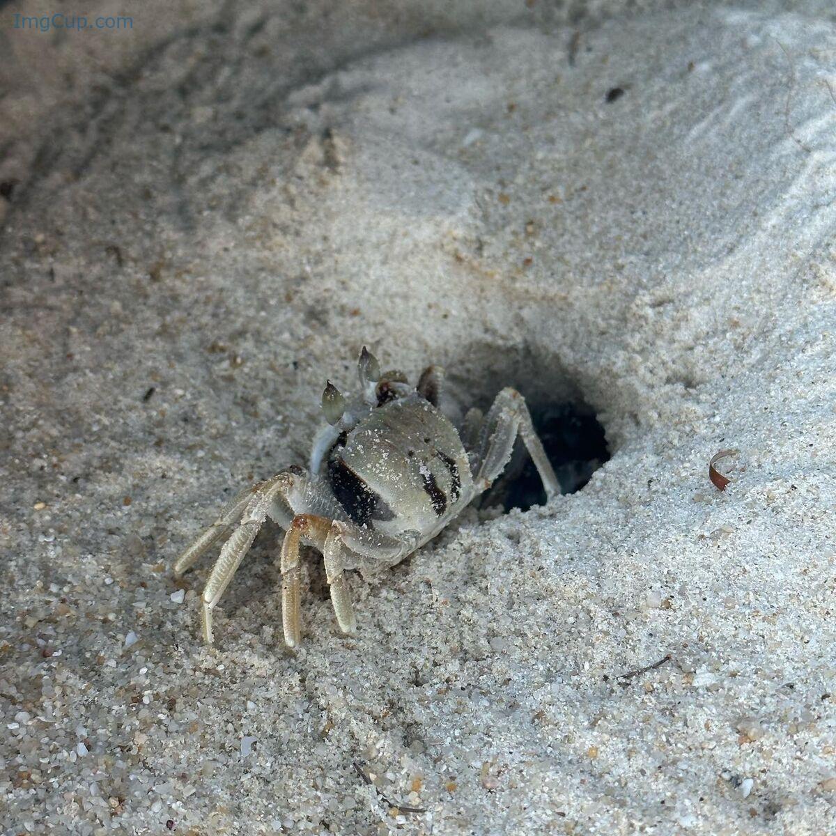 1762700902_515_Auddk_77-명아-–-명아는-오또케-Part02-68P.jpg 1762700902 515 Auddk 77 명아 – 명아는 오또케 Part02 68P