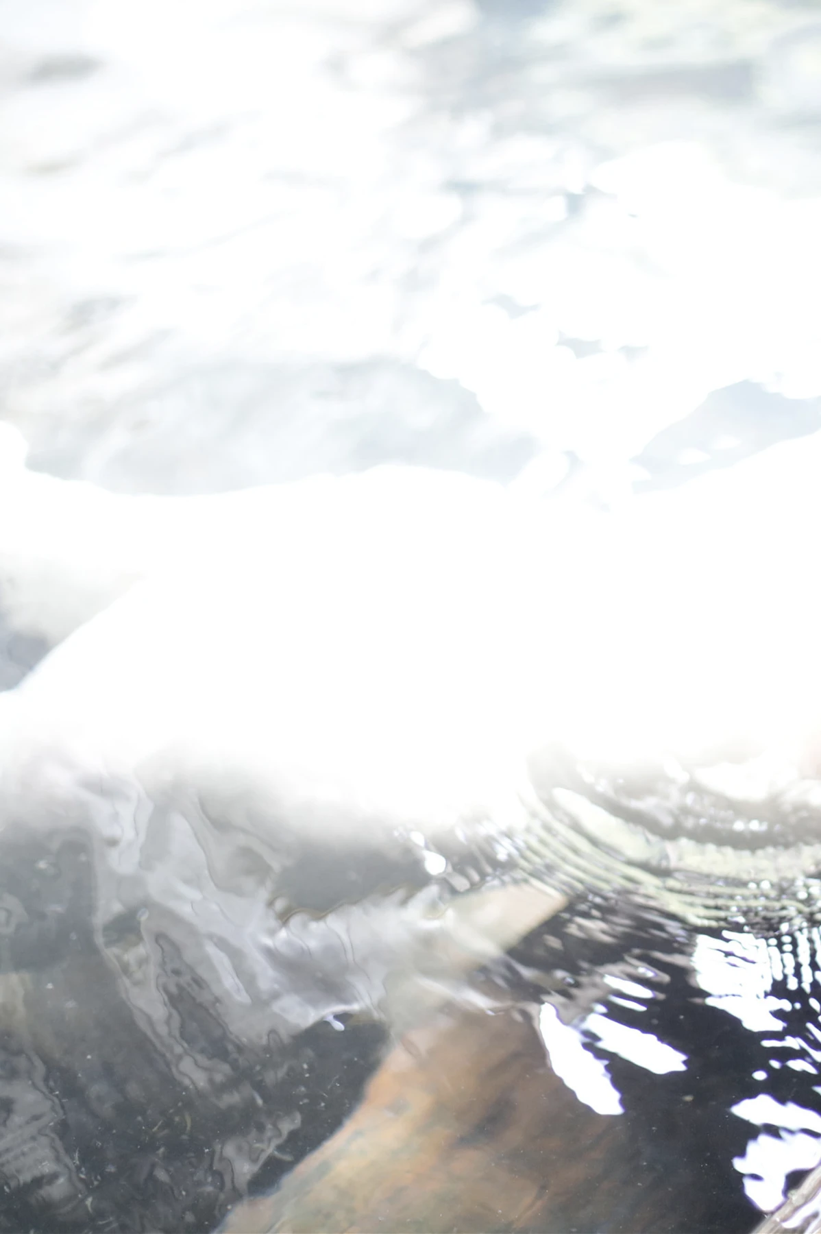 1770162420_557_Chiaki-Hiratsuka-平塚千瑛-写真集-「CHIAKI完全未発表版」-Set02.jpg 1770162420 557 Chiaki Hiratsuka 平塚千瑛 写真集 「CHIAKI完全未発表版」 Set02