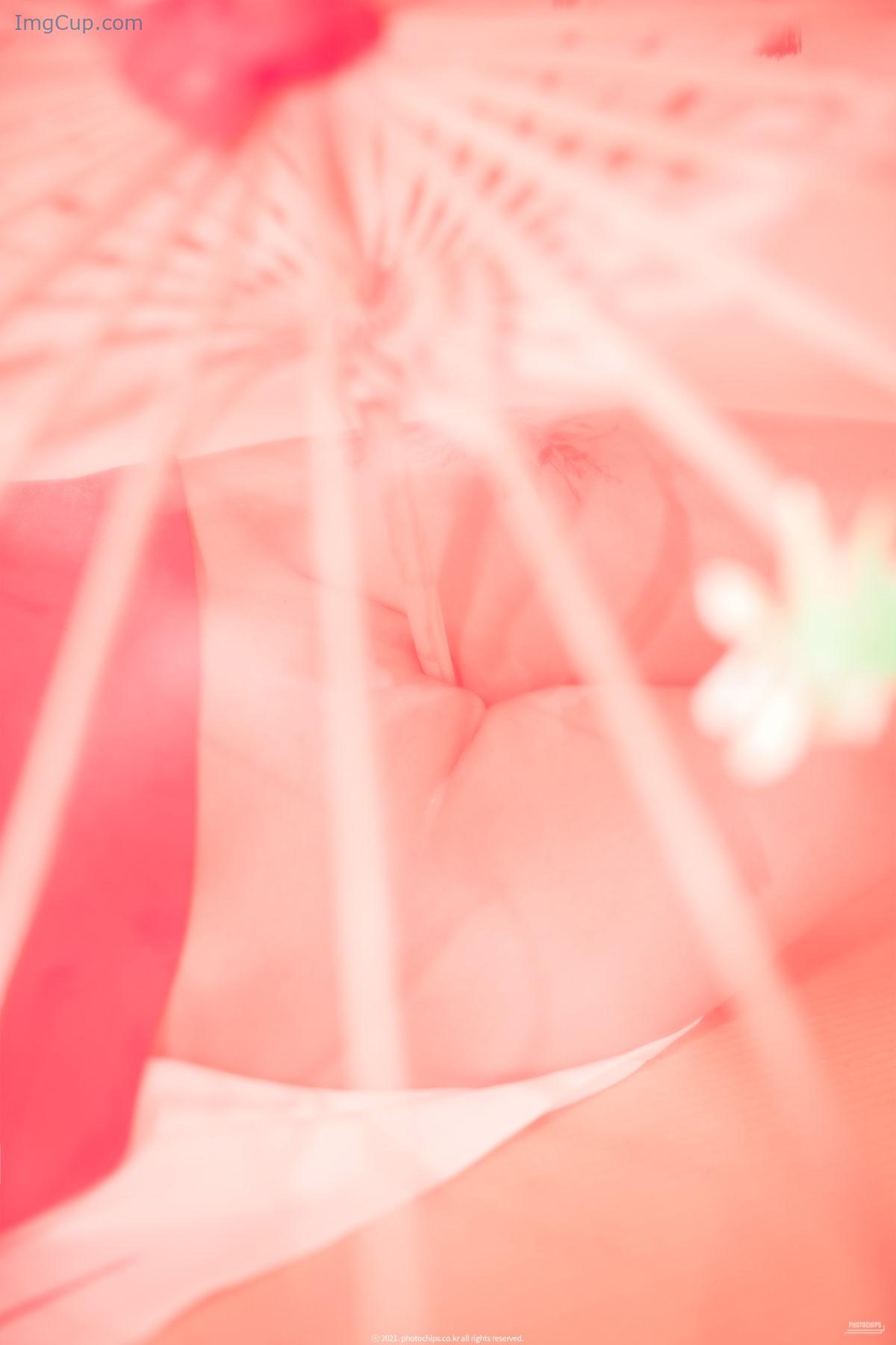 1775774291_403_PhotoChips-Vol113-No7-Aram-아람.jpg 1775774291 403 PhotoChips Vol113 No7 Aram 아람